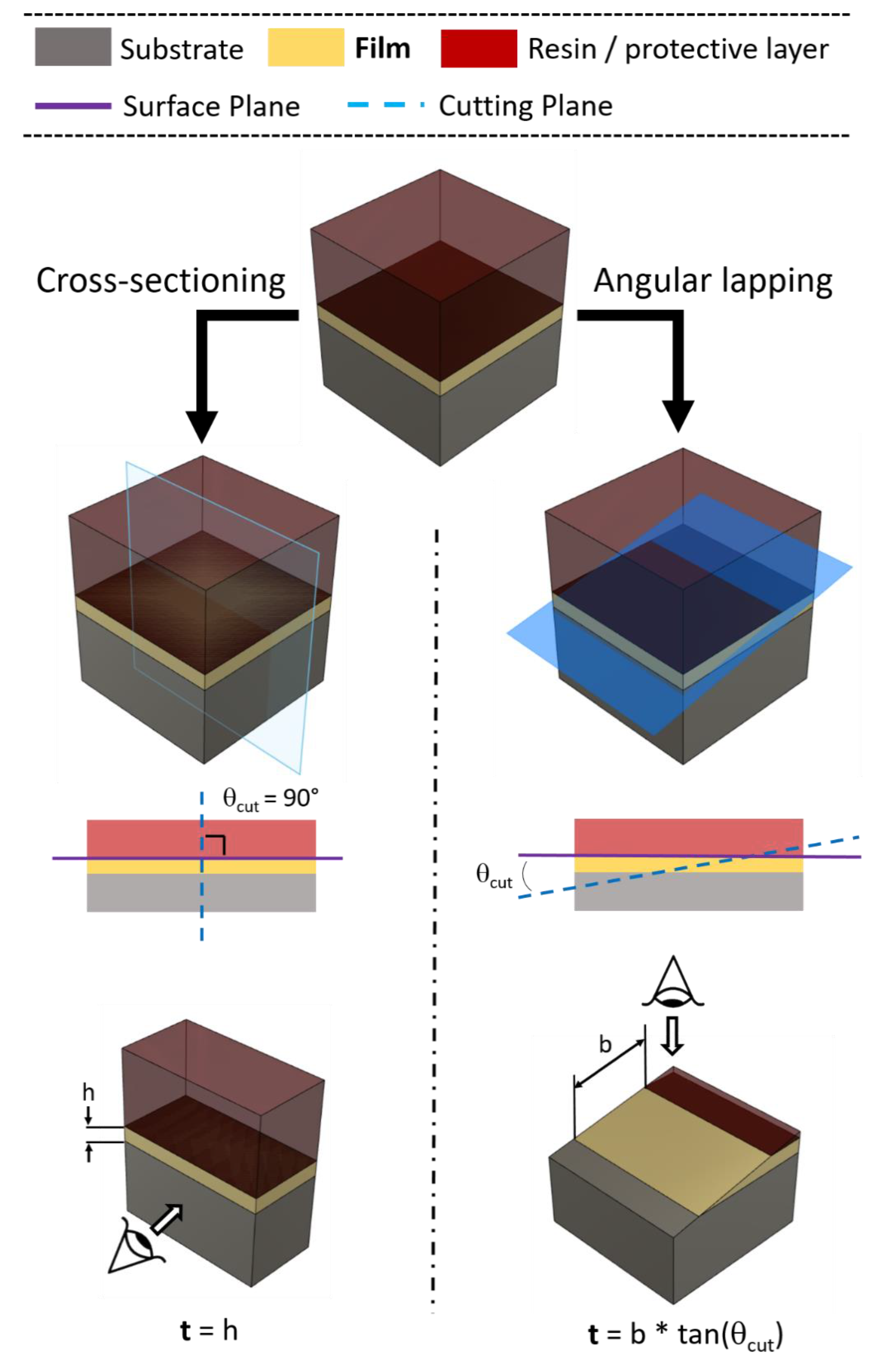 Materproc 02 00012 g003 Materproc 02 00012 g003