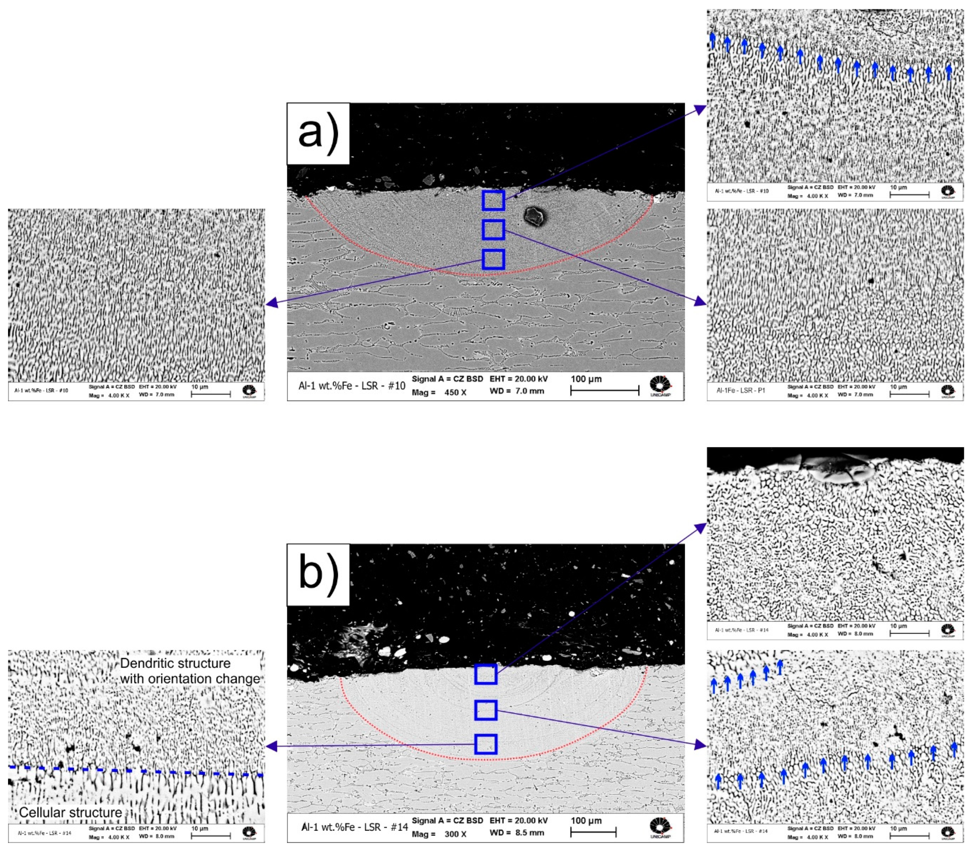 Materproc 02 00016 g005
