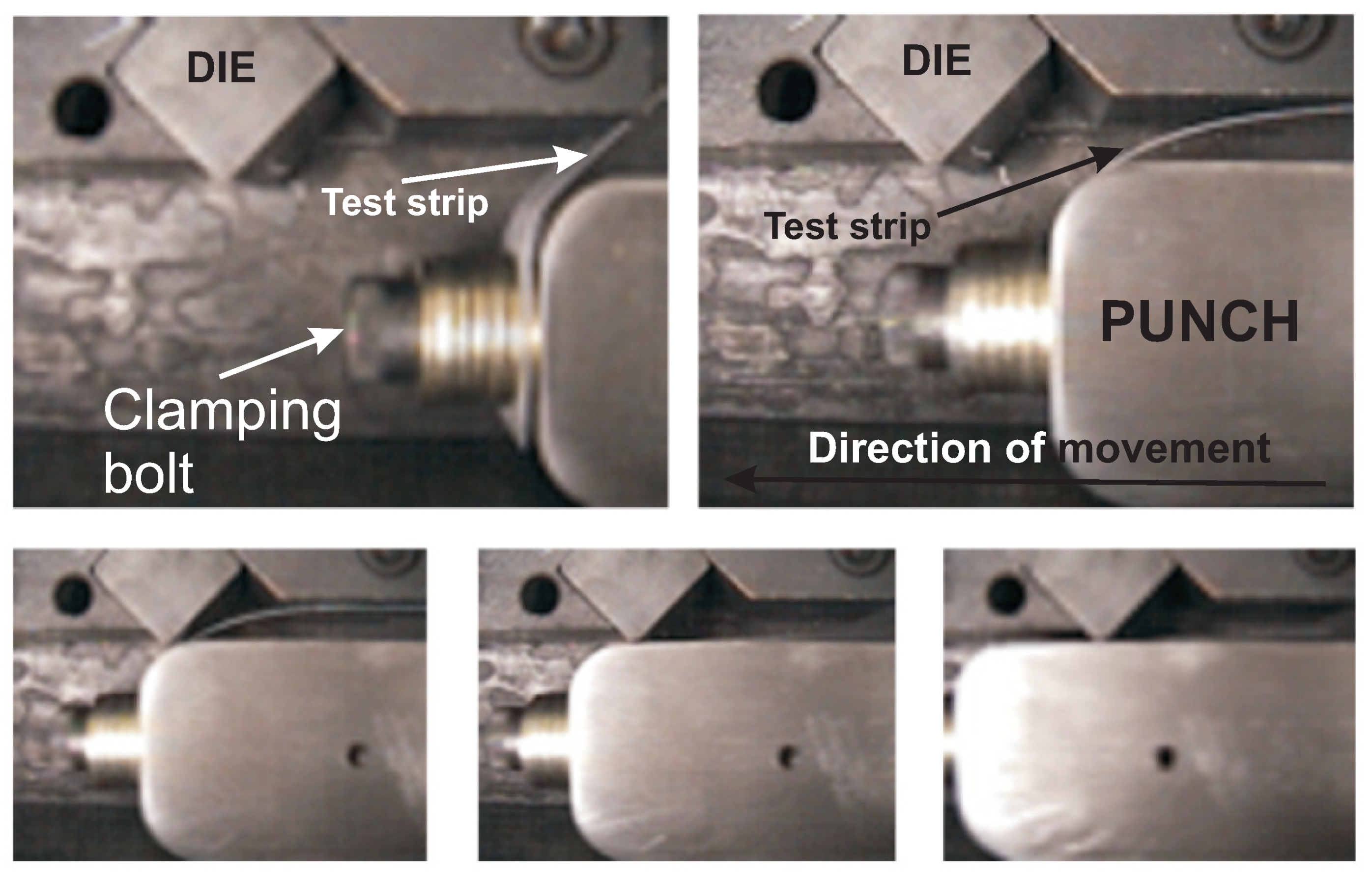Materproc 02 00021 g003