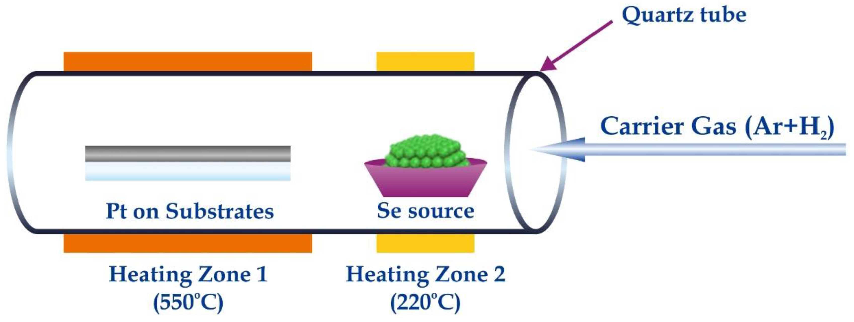 Materproc 02 00022 g001
