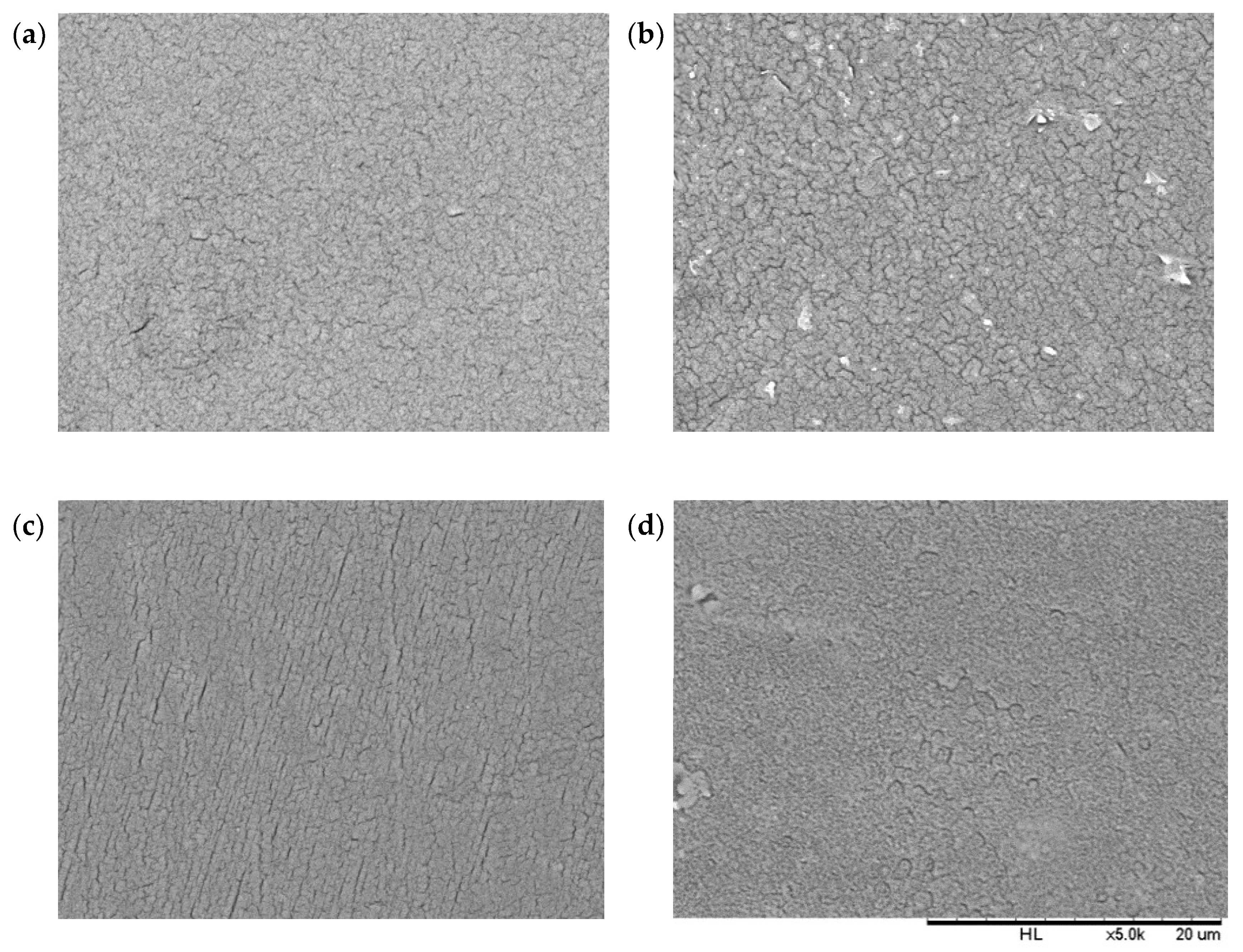 Materproc 02 00031 g001