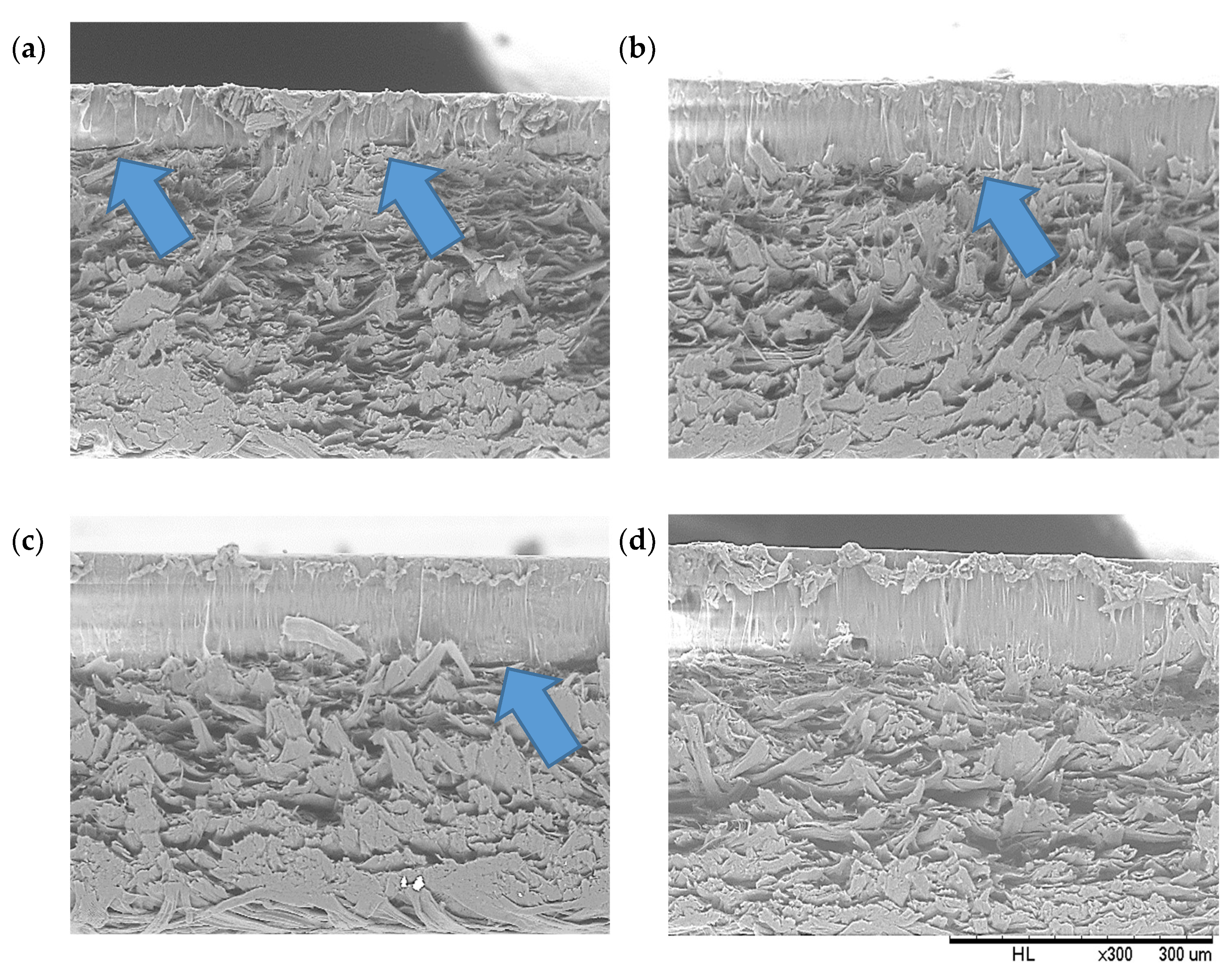 Materproc 02 00031 g002