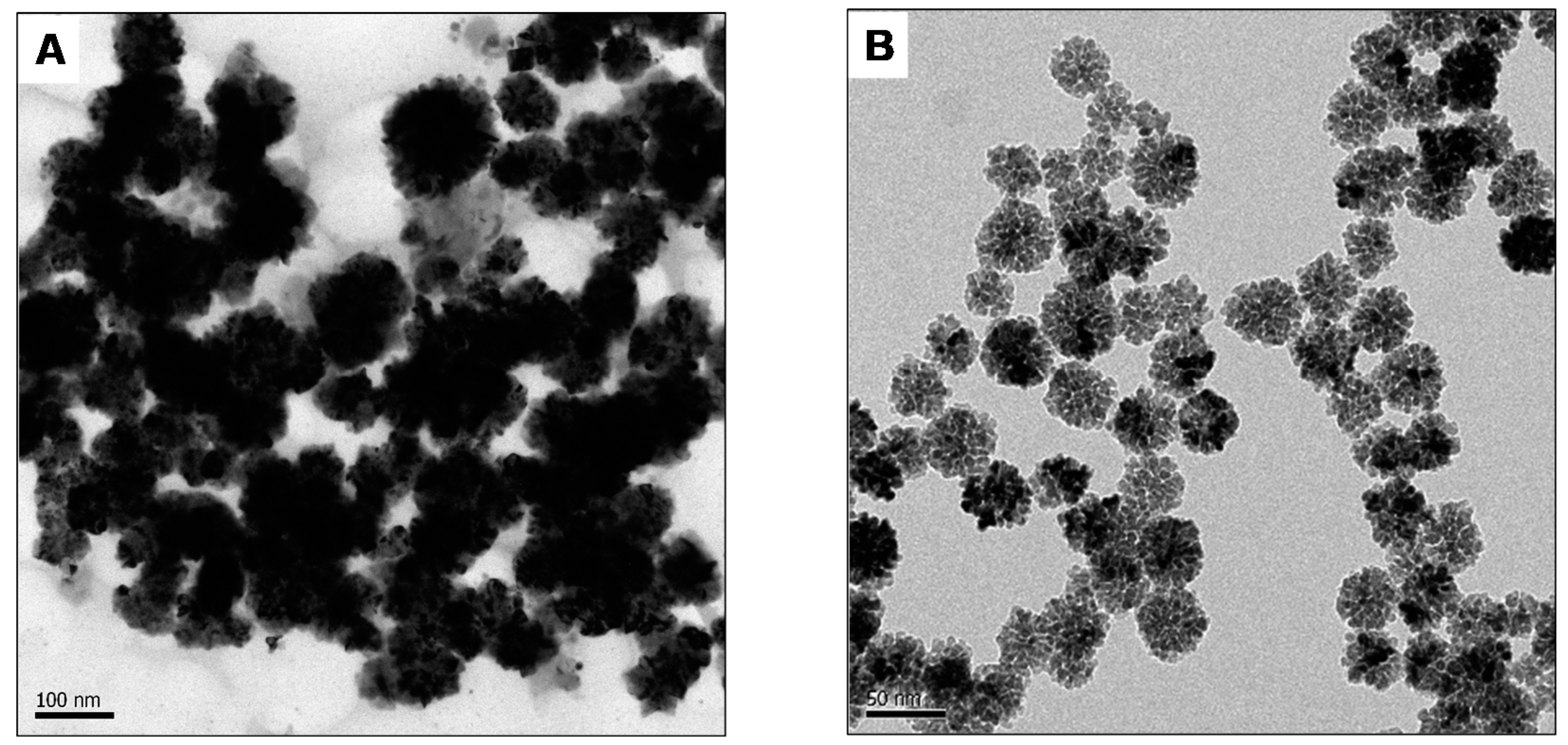 Materproc 03 00018 g001