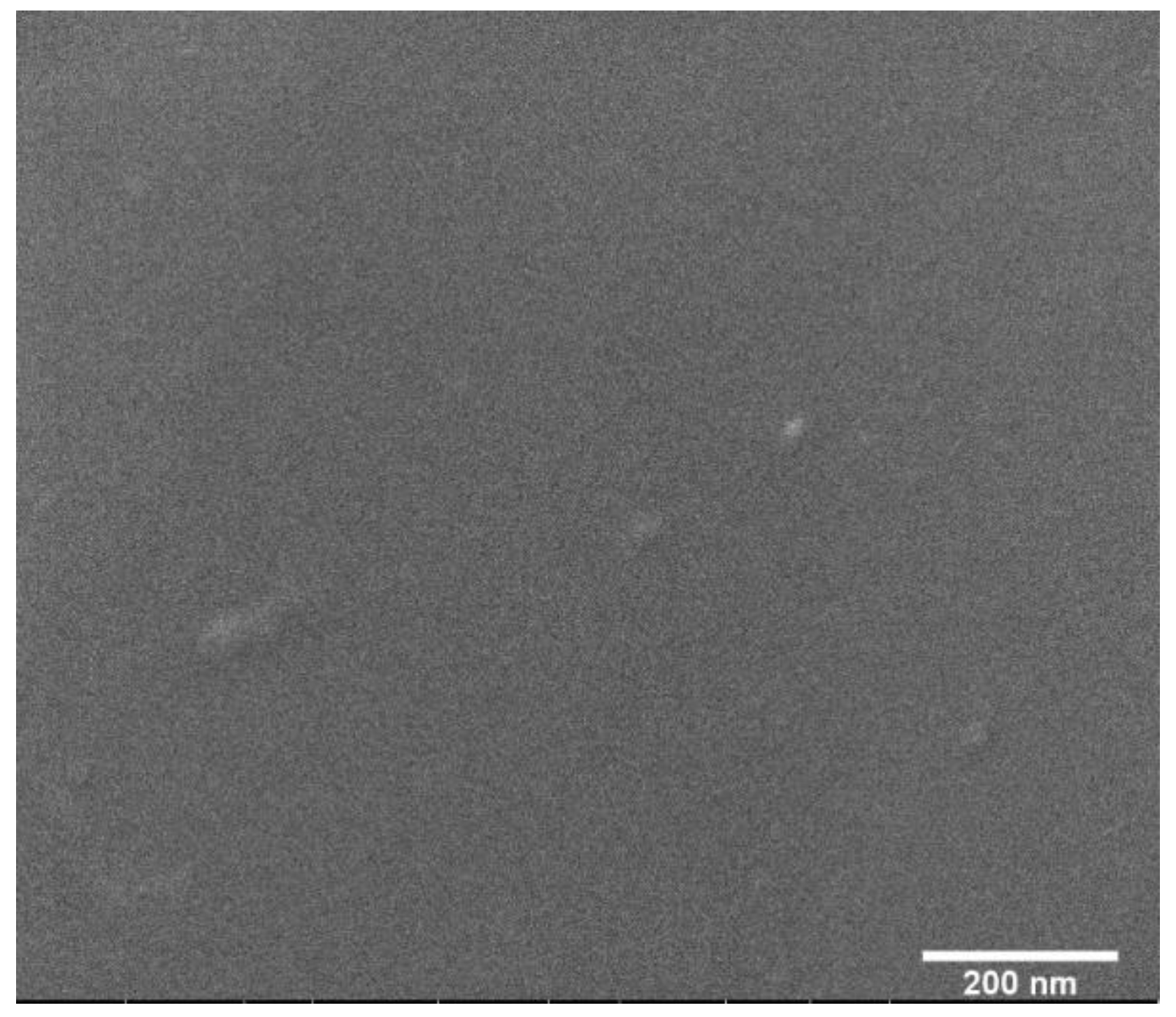 Materproc 04 00003 g002