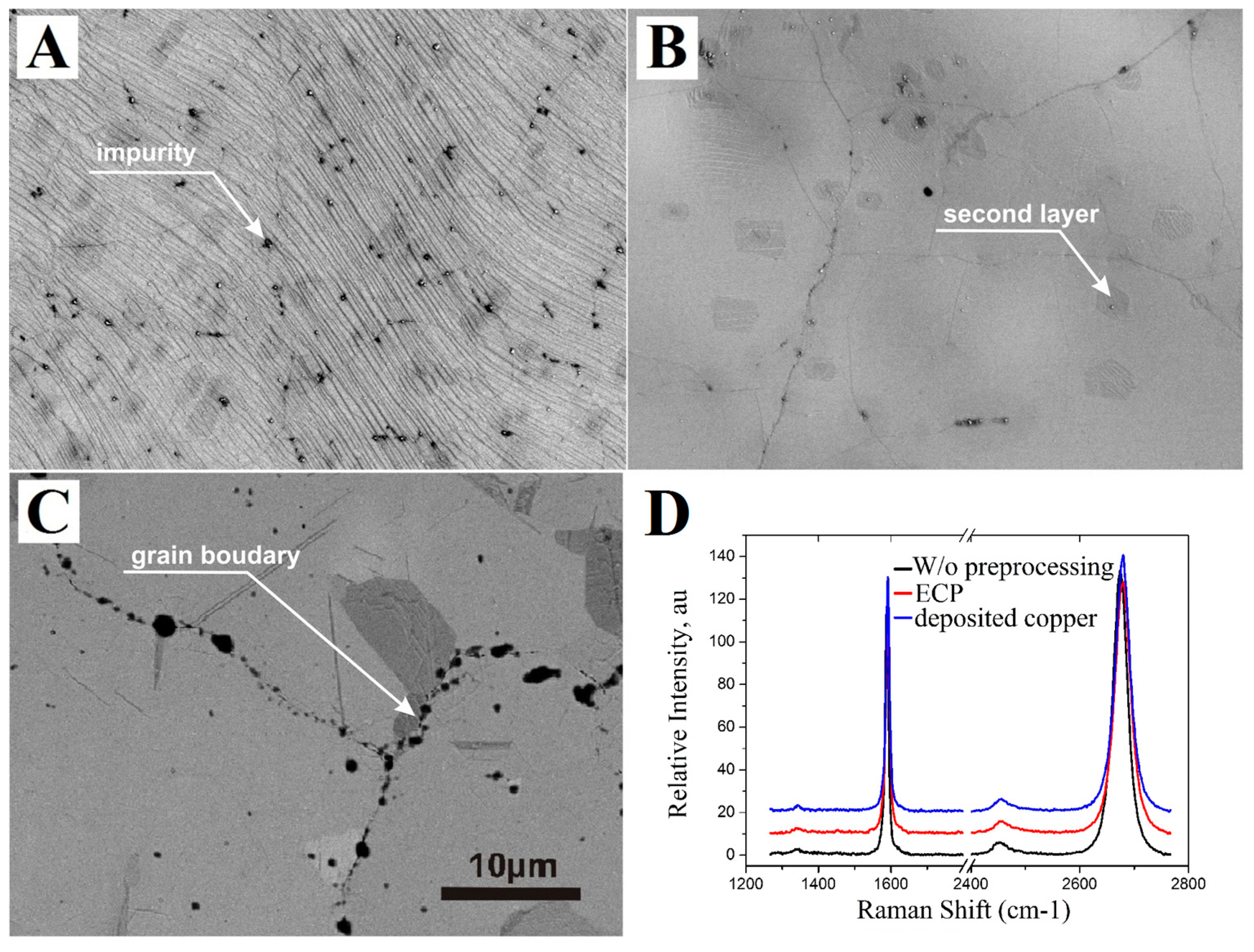 Materproc 04 00014 g002
