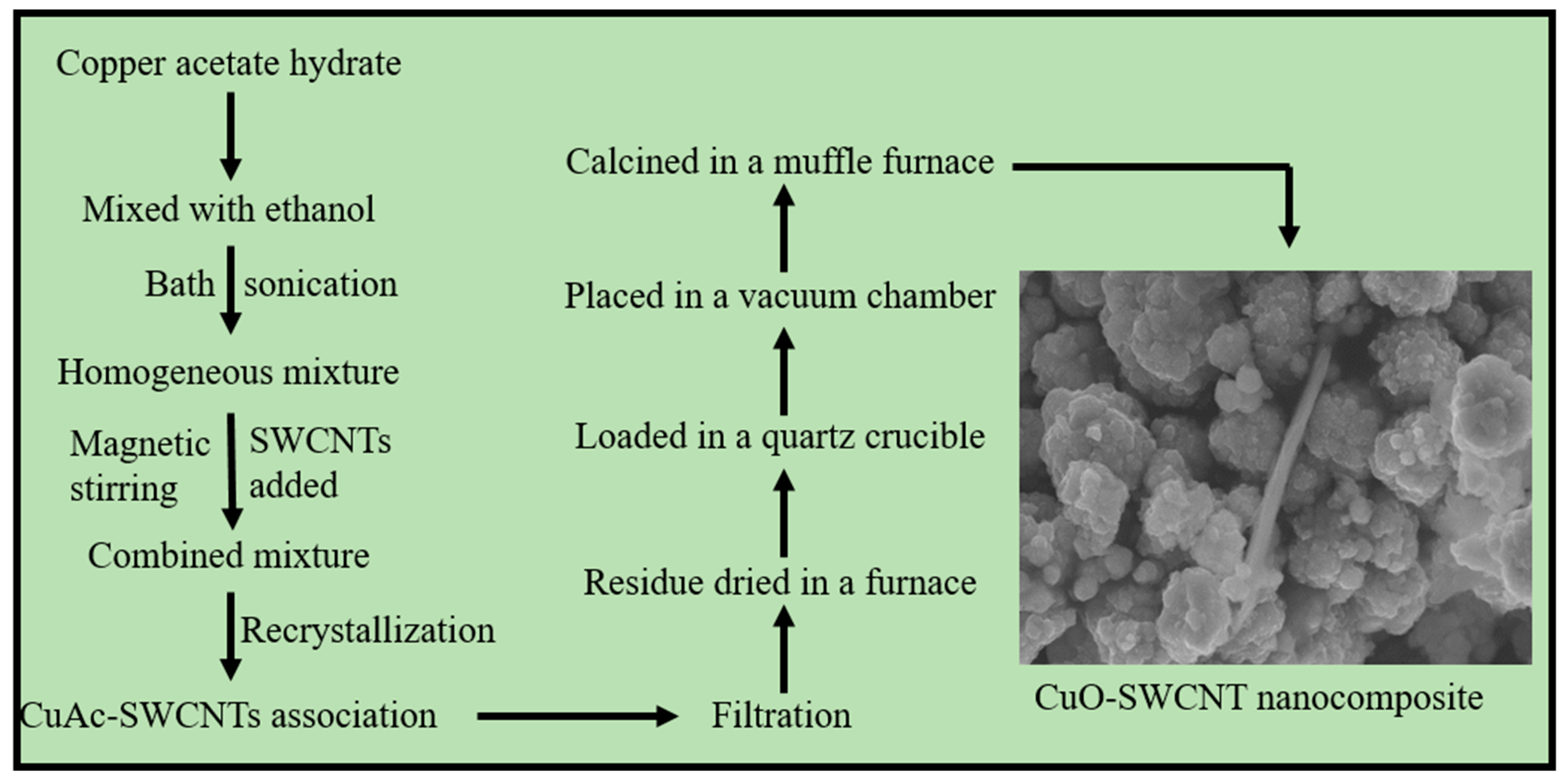 Materproc 04 00018 g001