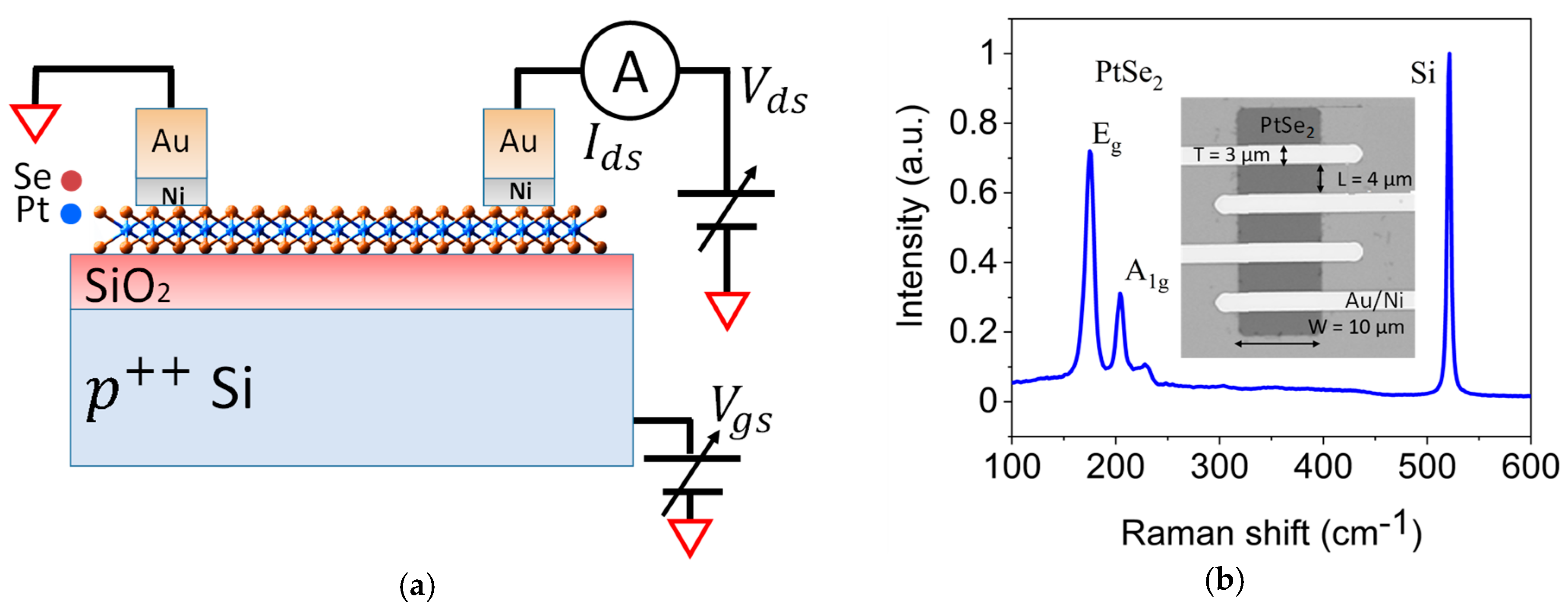 Materproc 04 00028 g001