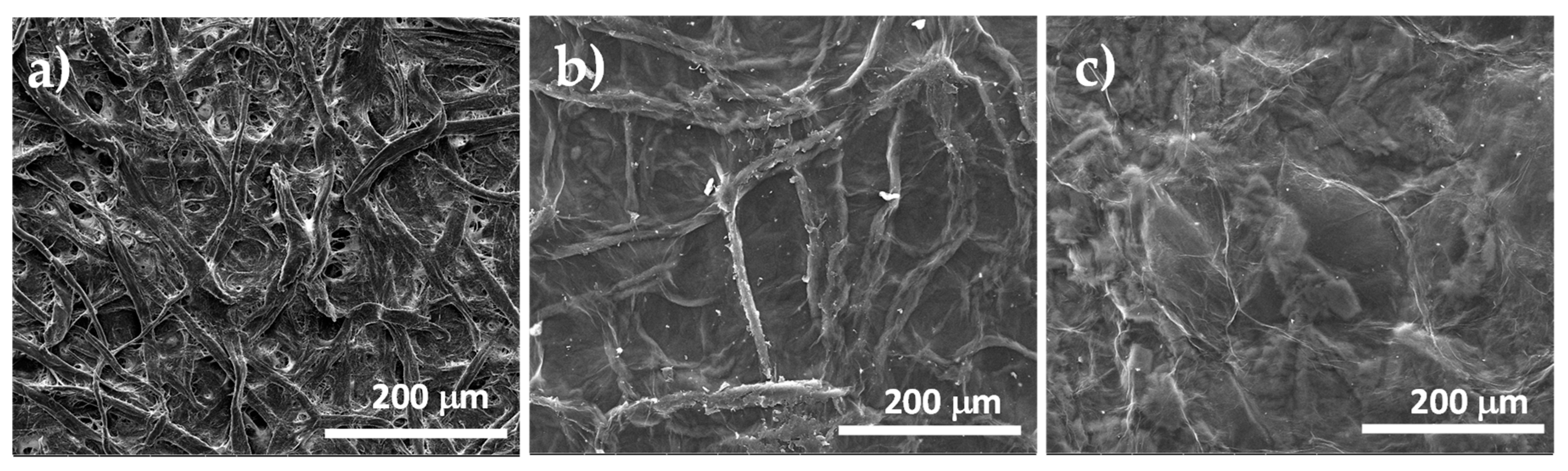 Materproc 04 00033 g006