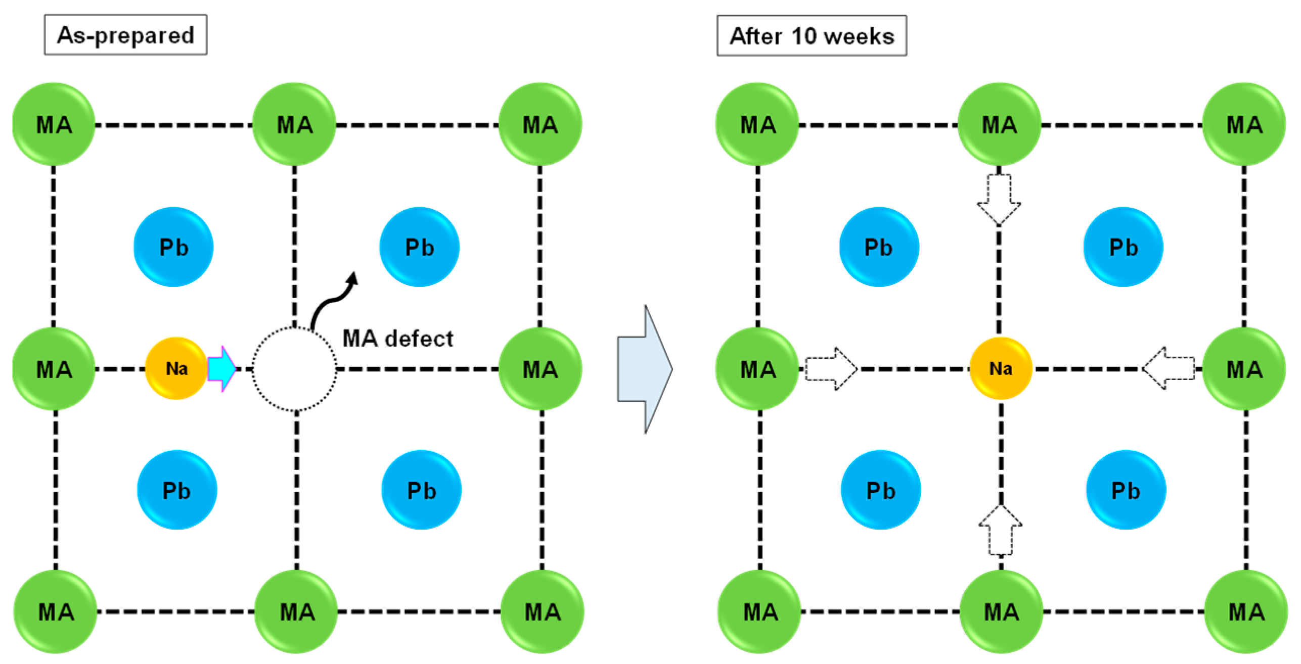 Materproc 04 00054 g002