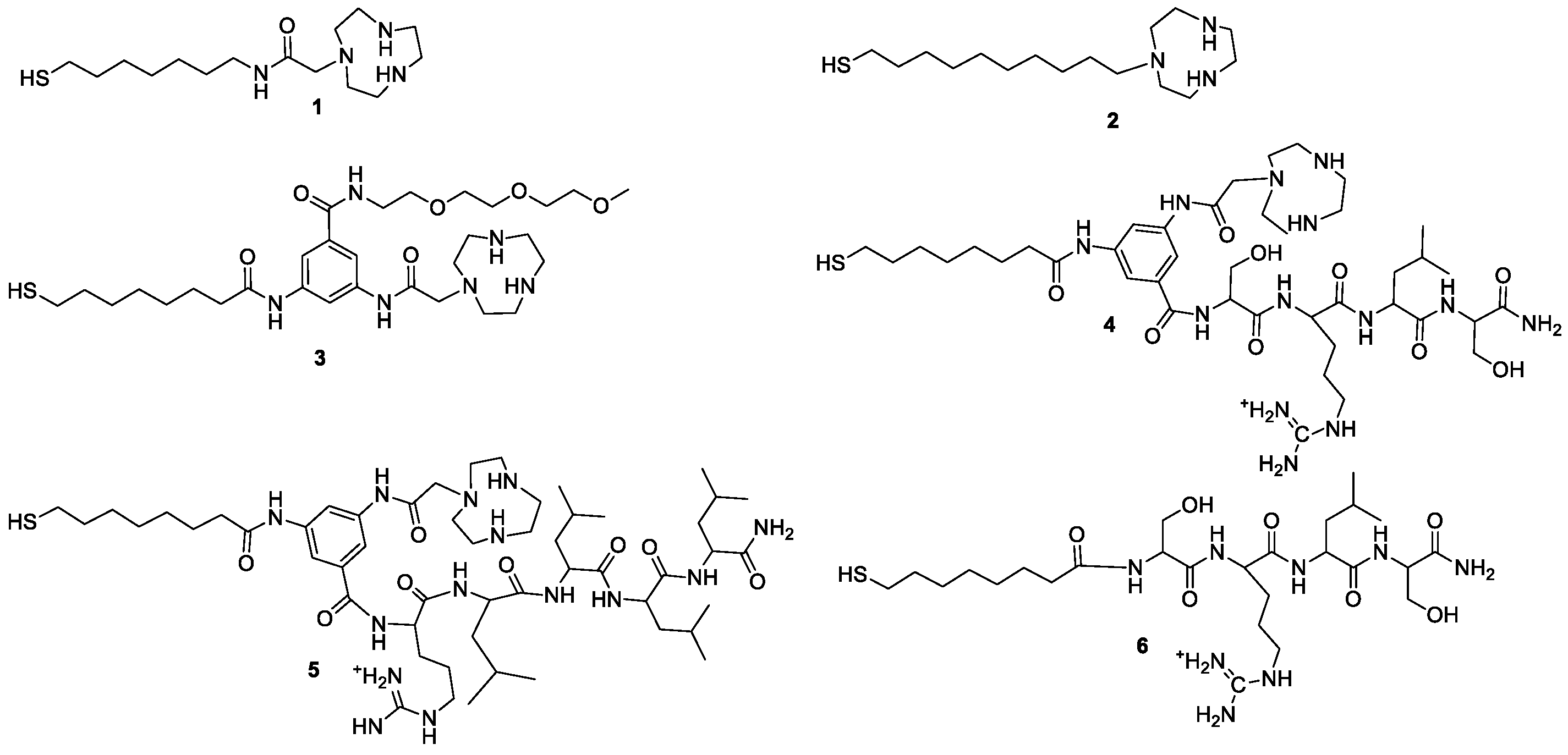 Materproc 04 00070 g001