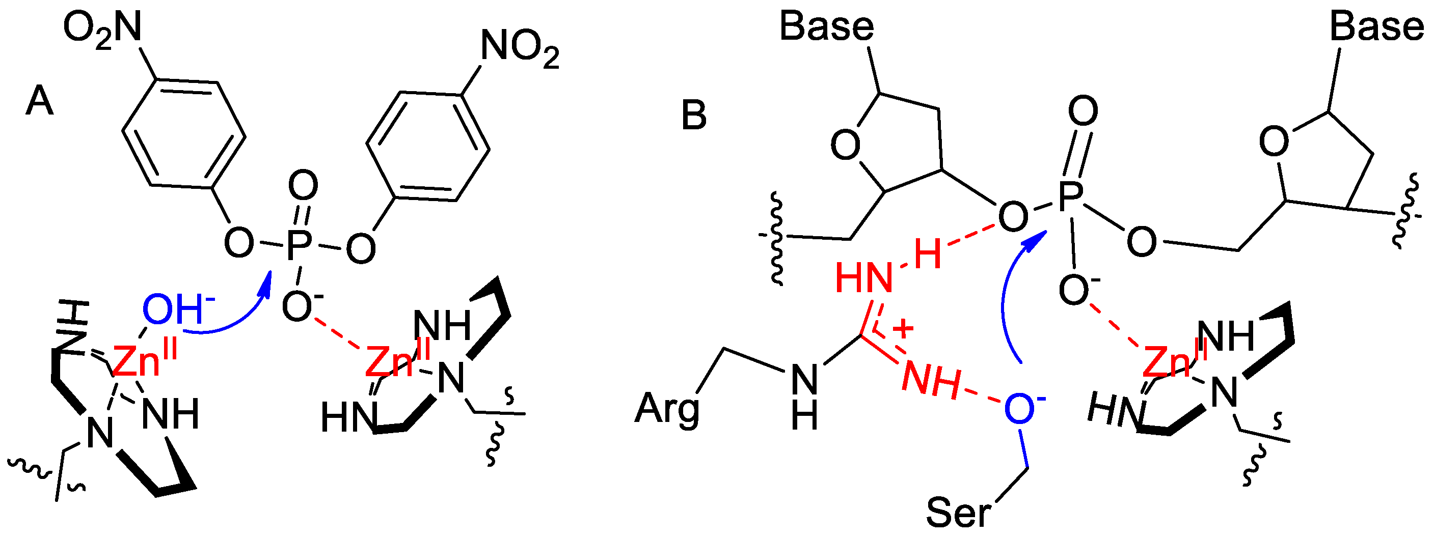 Materproc 04 00070 g004