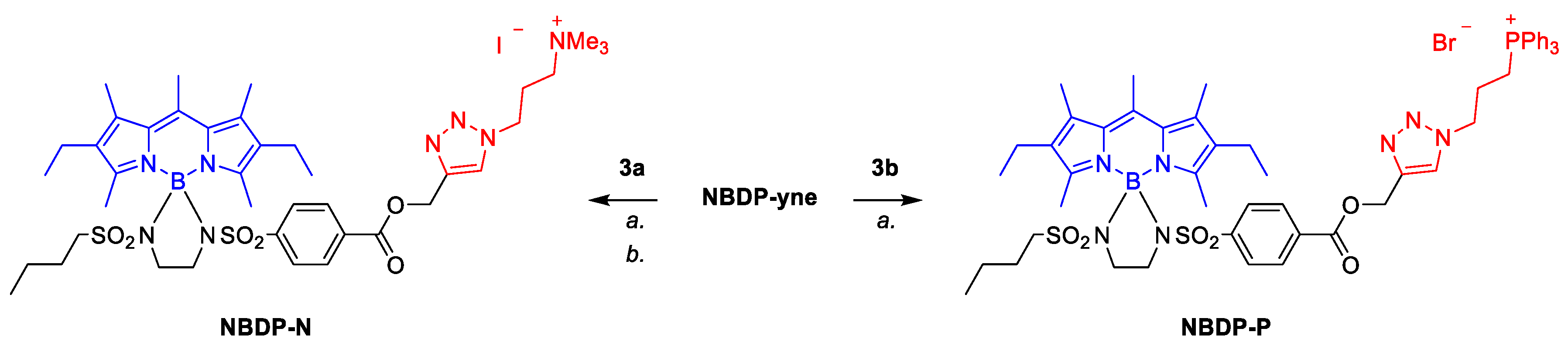 Materproc 04 00090 sch002