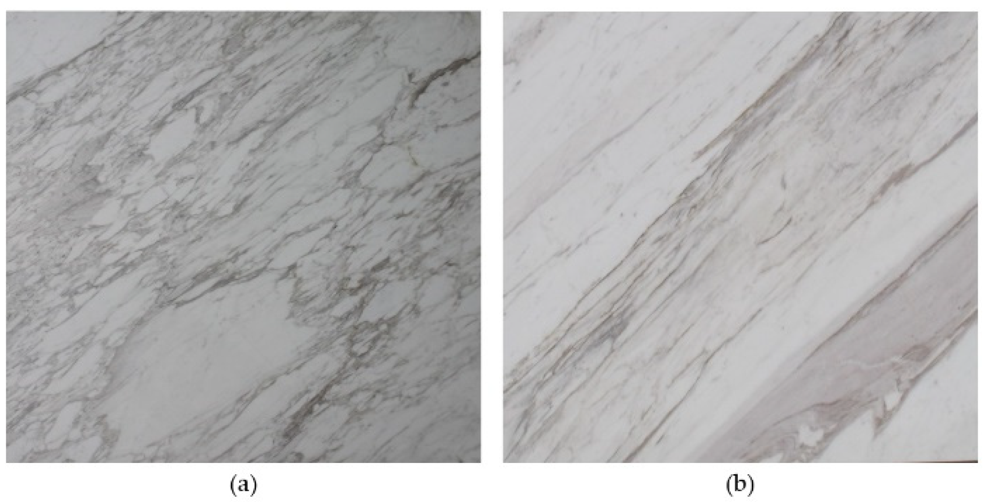 Materproc 05 00012 g001