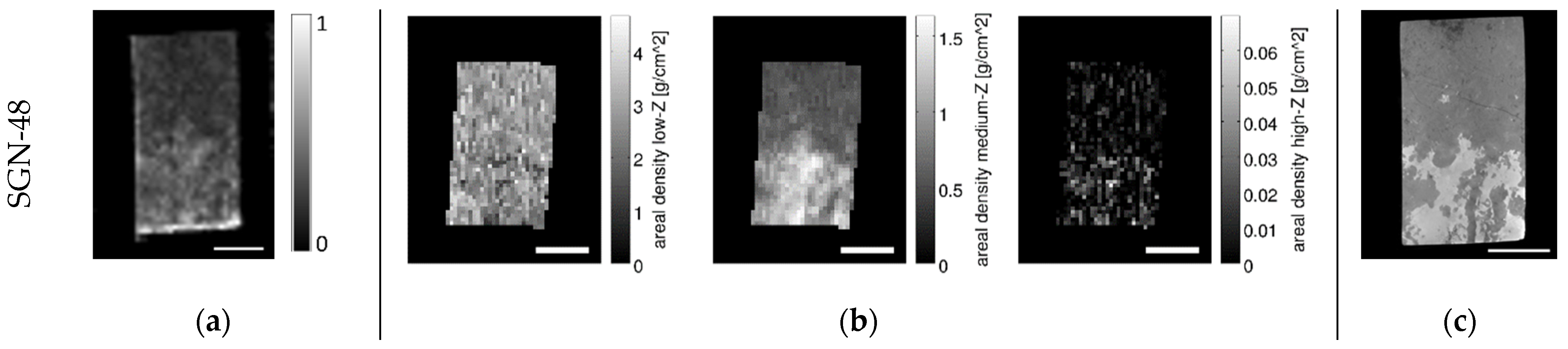 Materproc 05 00027 g008