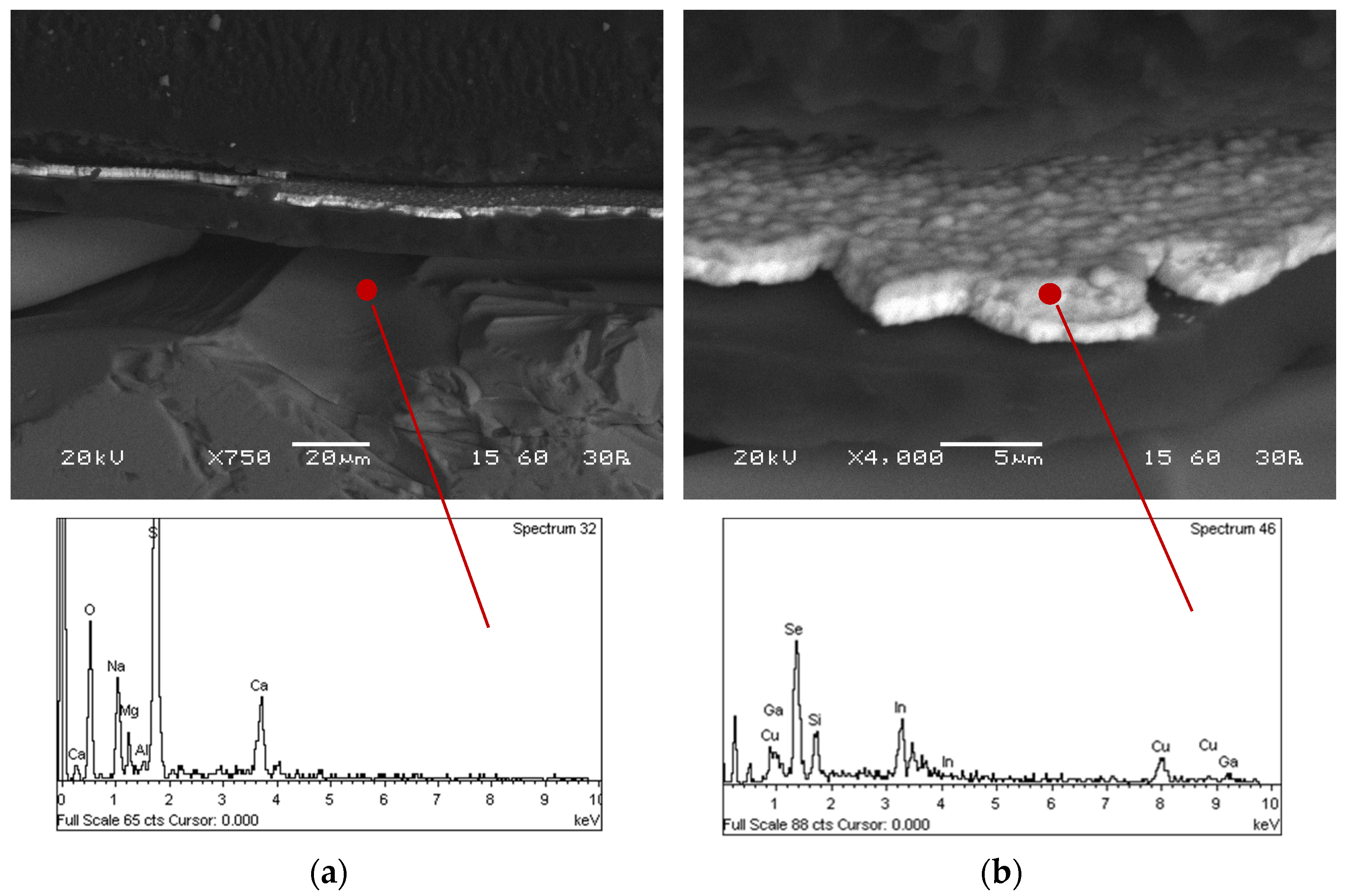 Materproc 05 00051 g002