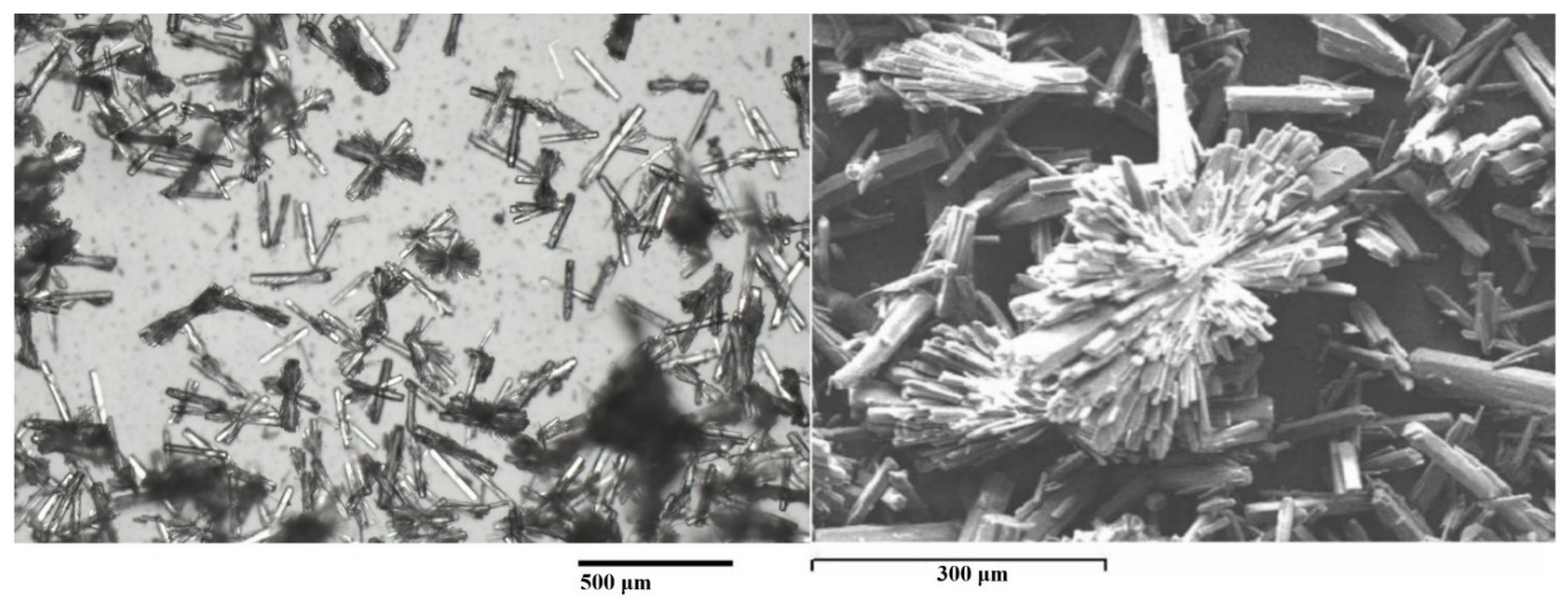 Materproc 05 00060 g001