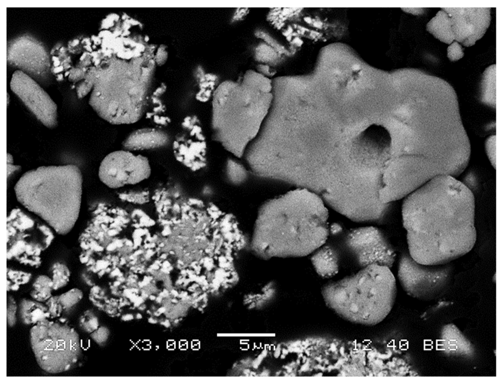 Materproc 05 00100 g003