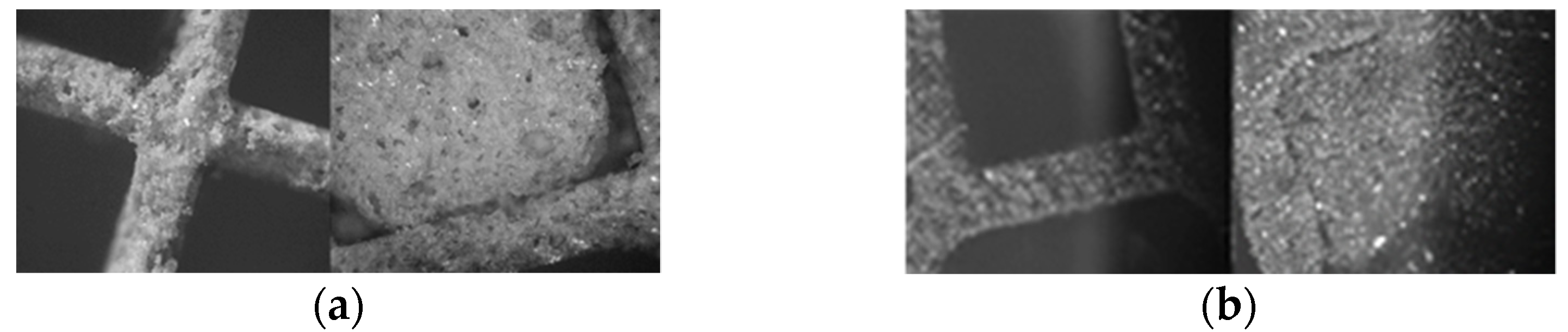 Materproc 05 00107 g001 Materproc 05 00107 g001