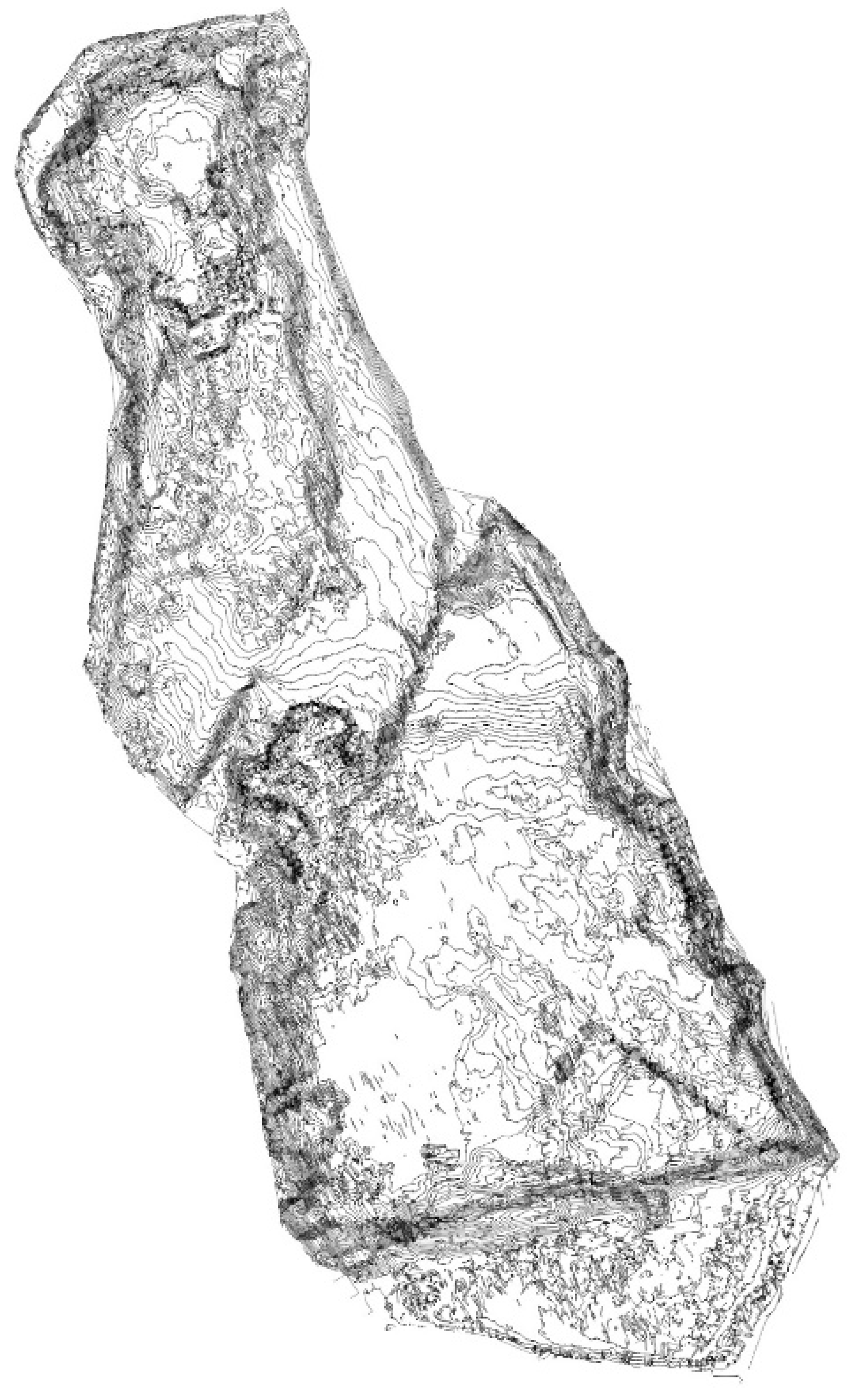 Materproc 05 00117 g003