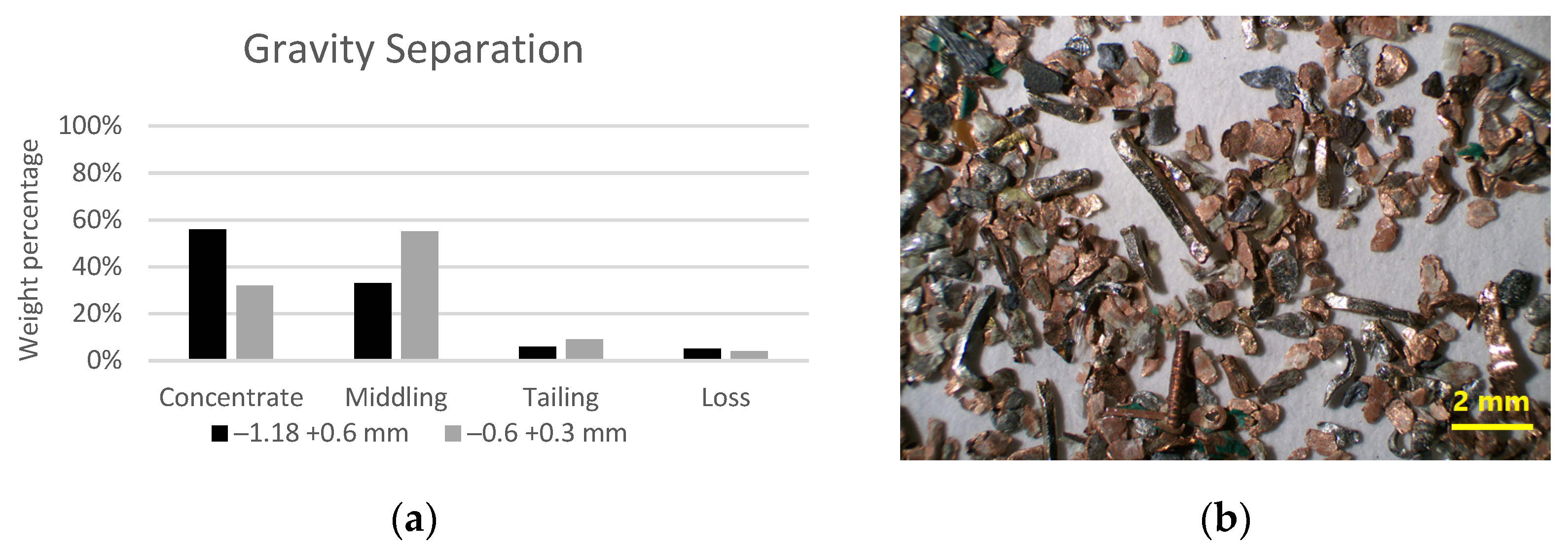 Materproc 05 00121 g004