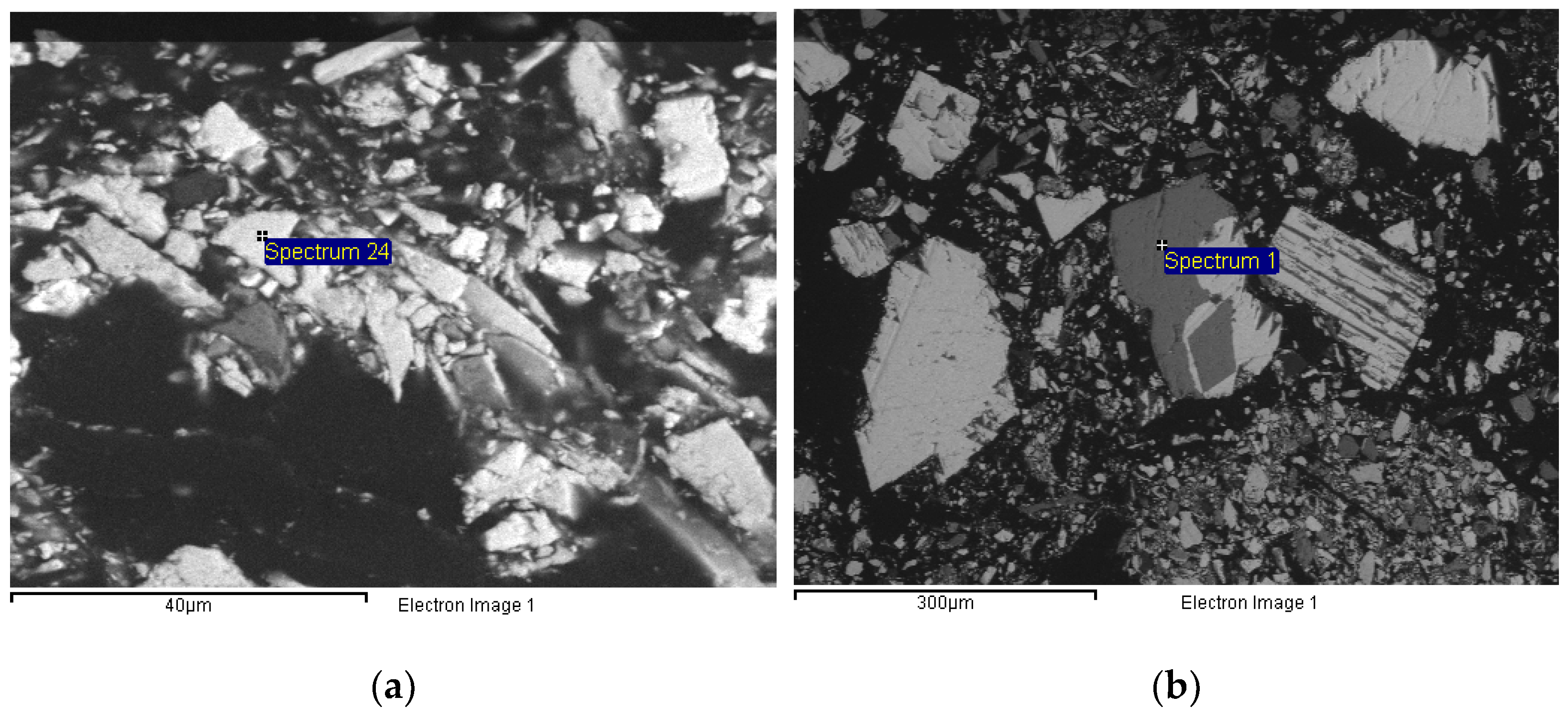 Materproc 05 00130 g002