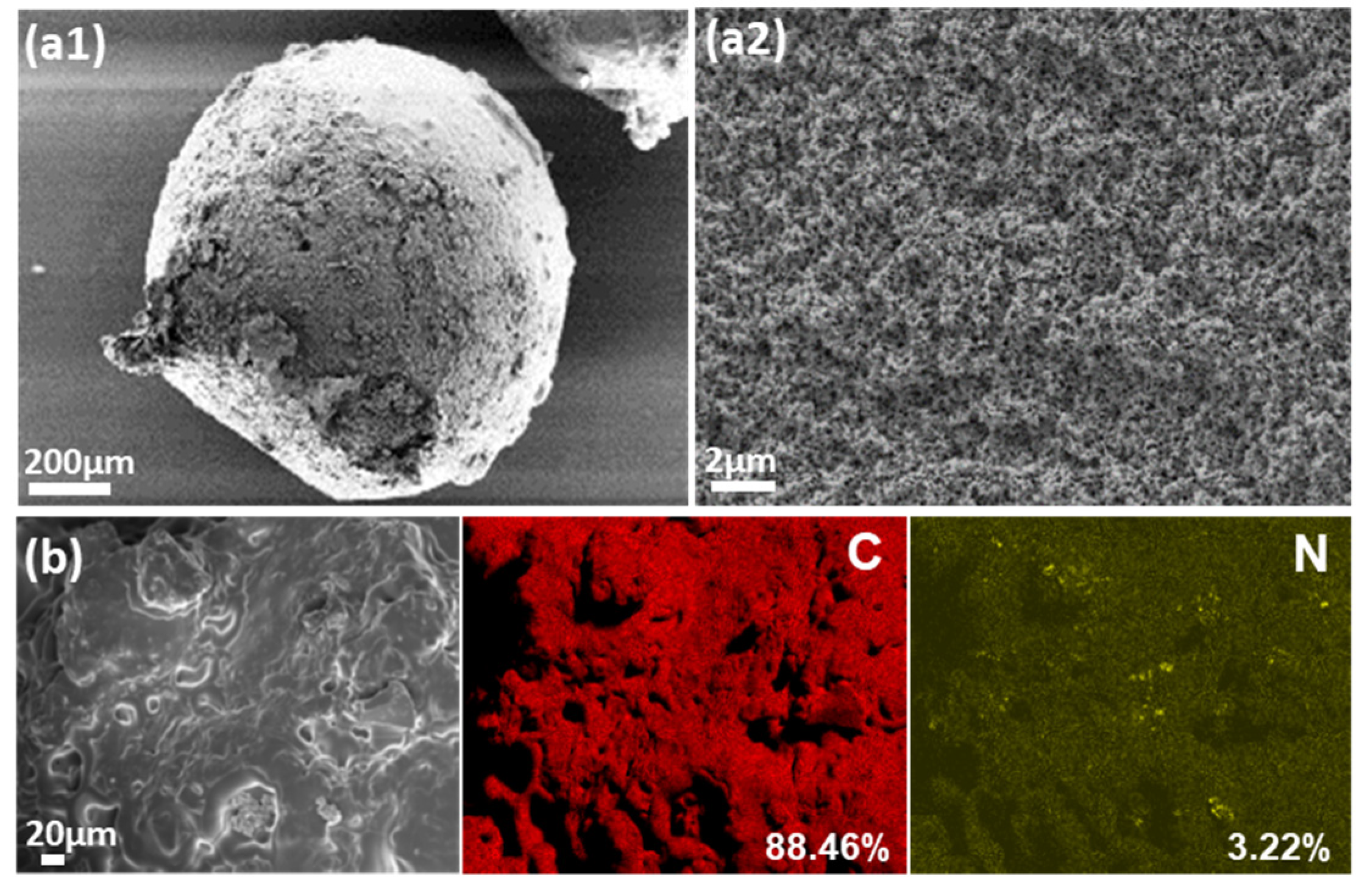 Materproc 07 00009 g001