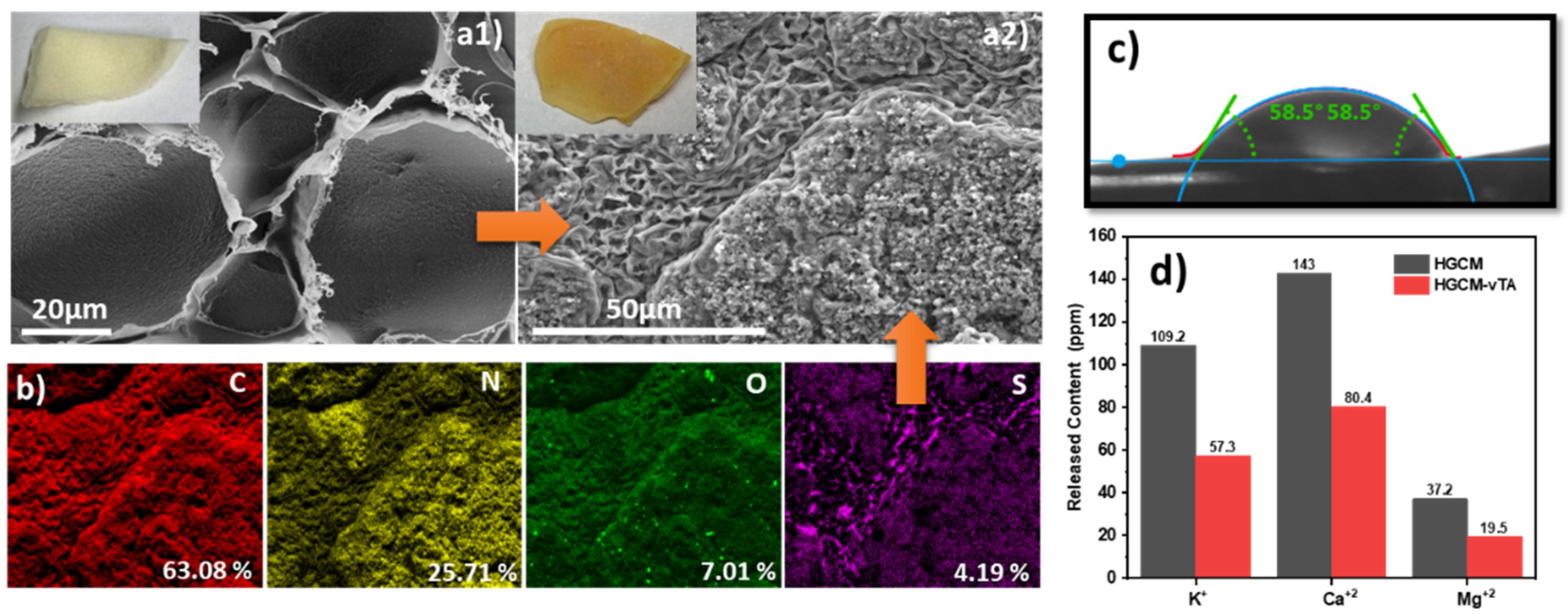 Materproc 07 00009 g003