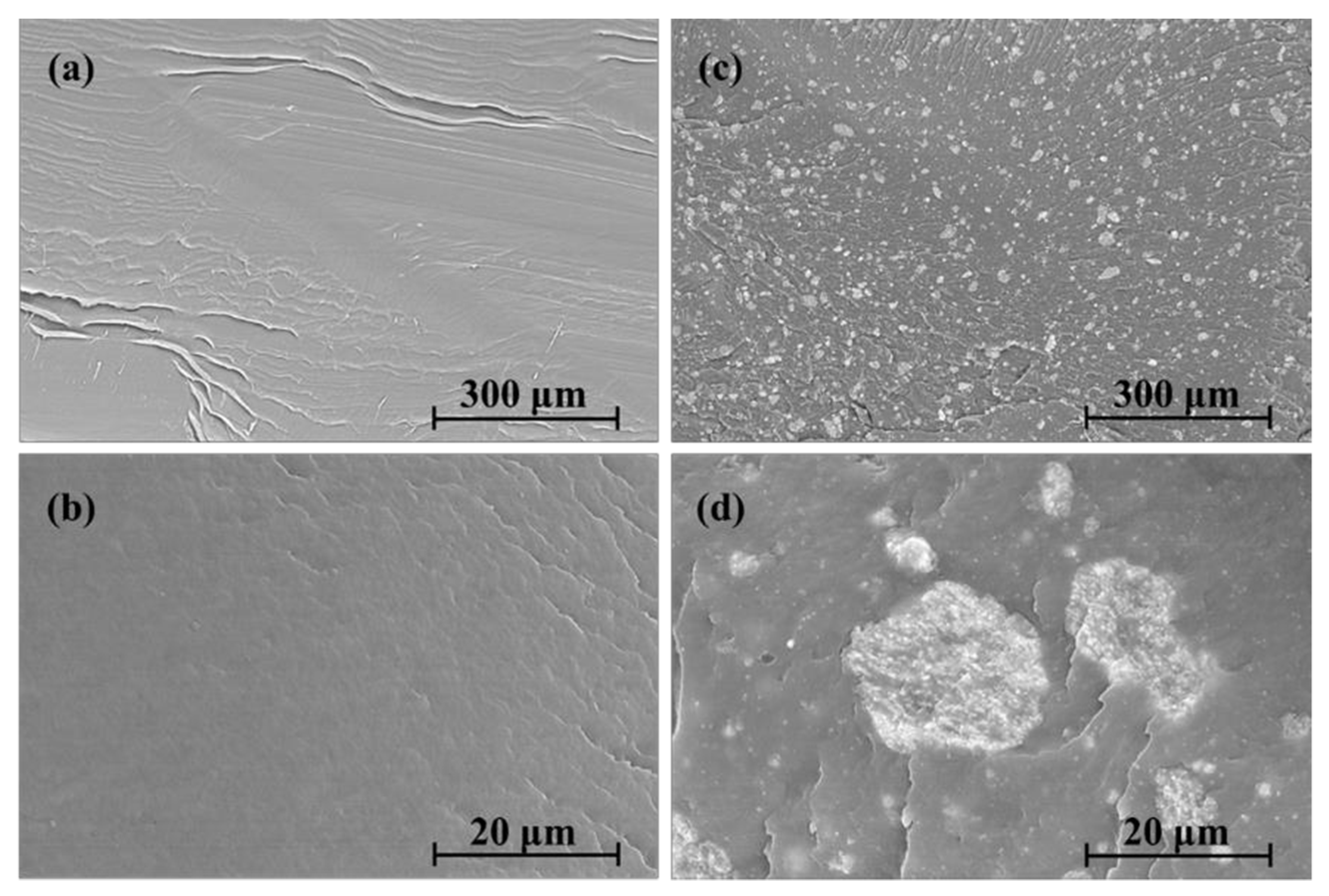 Materproc 07 00020 g001