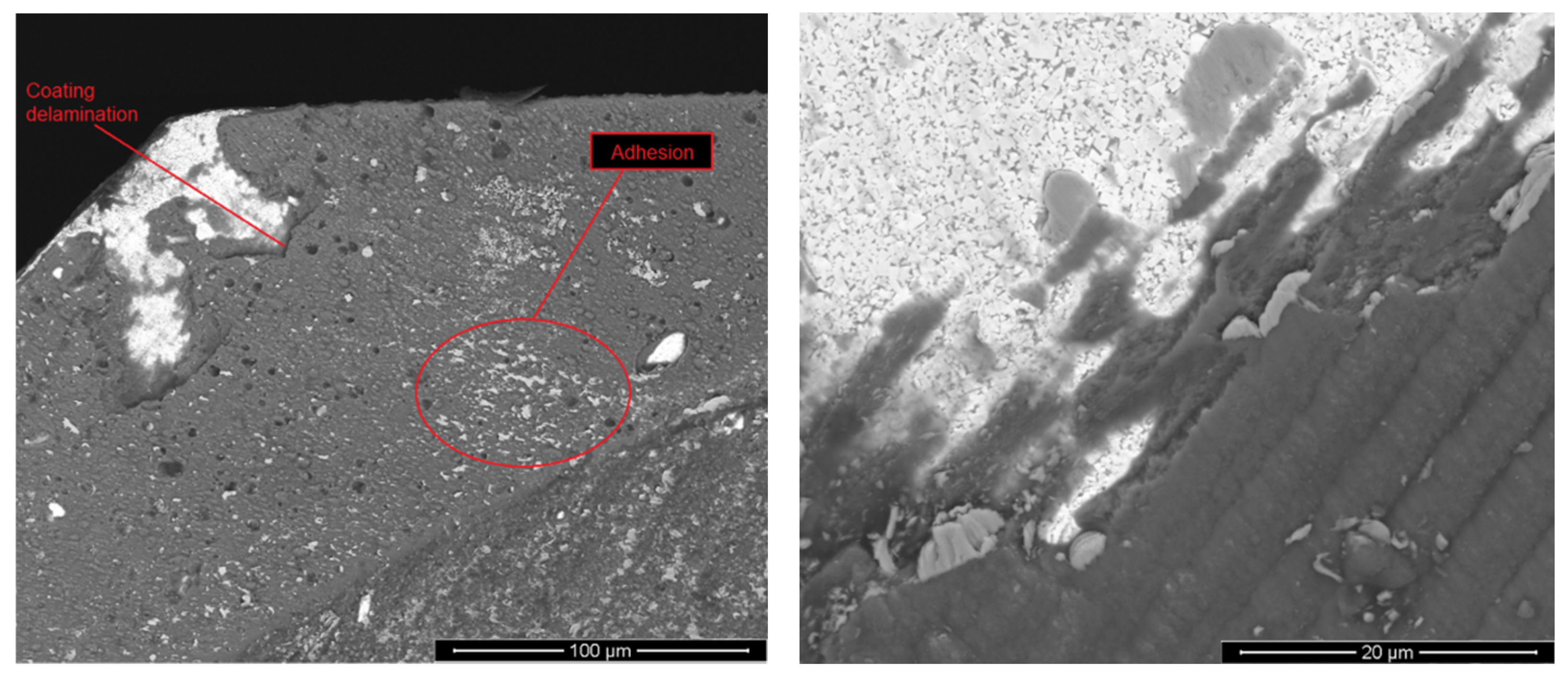 Materproc 08 00045 g001