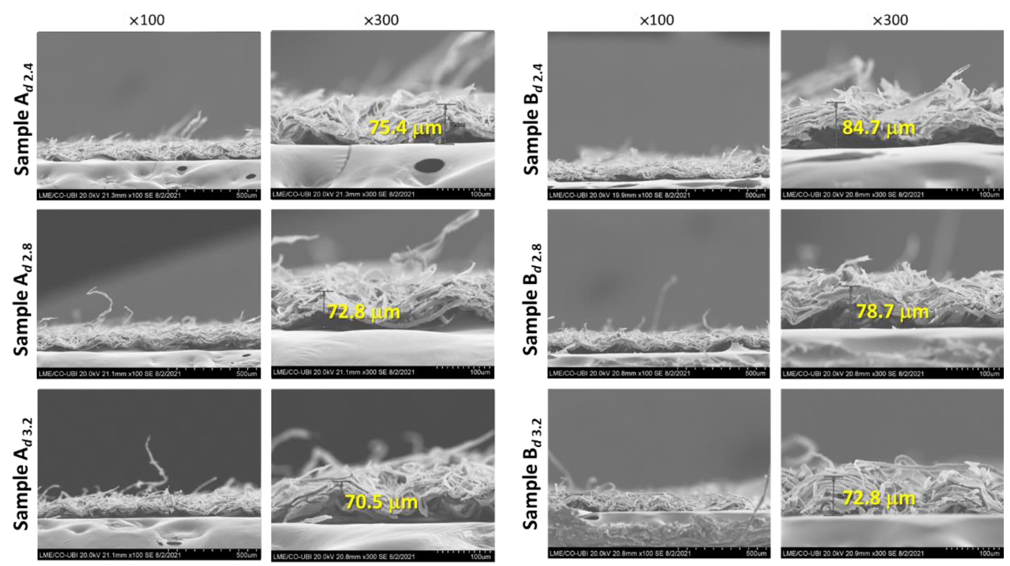 Materproc 08 00052 g004