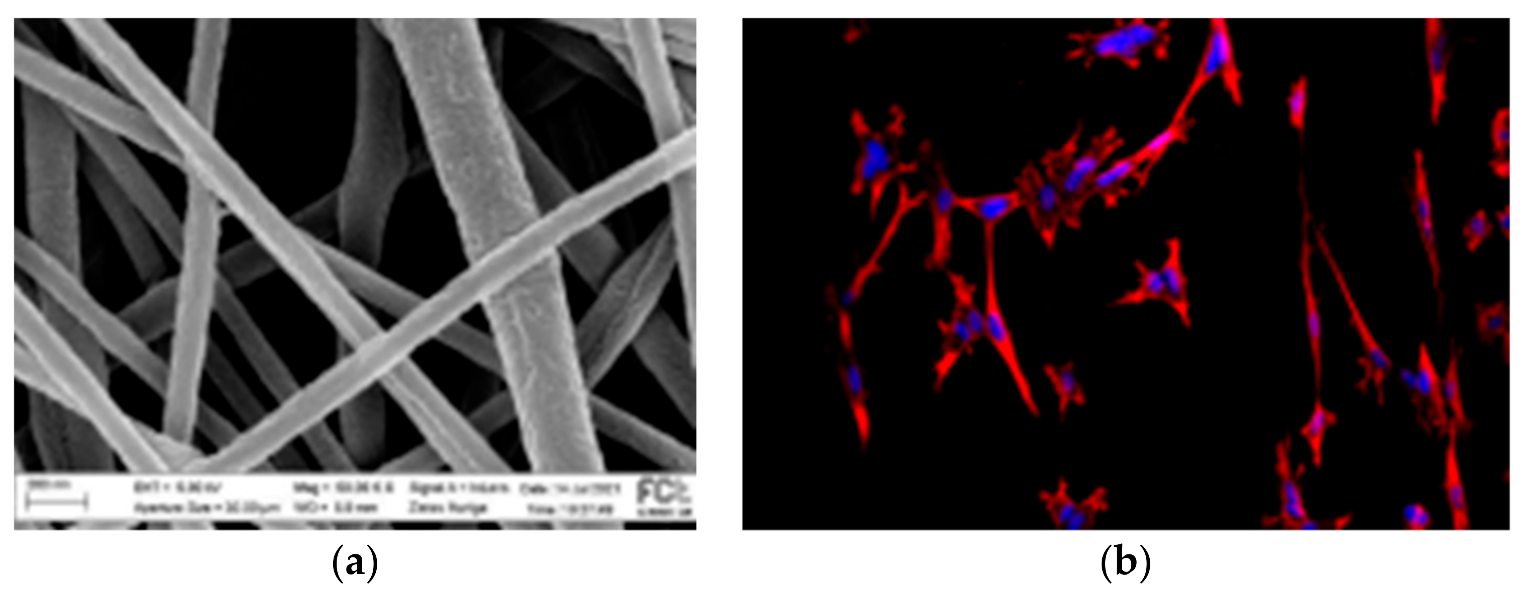 Materproc 08 00100 g001