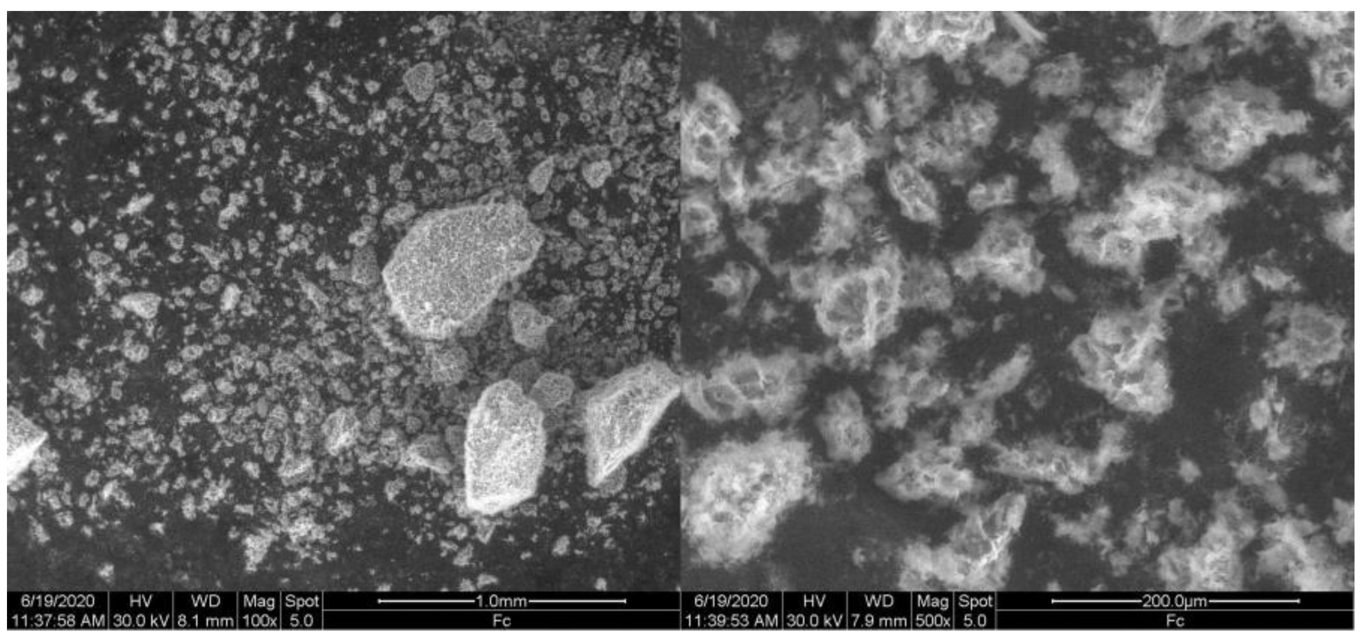 Materproc 09 00012 g002