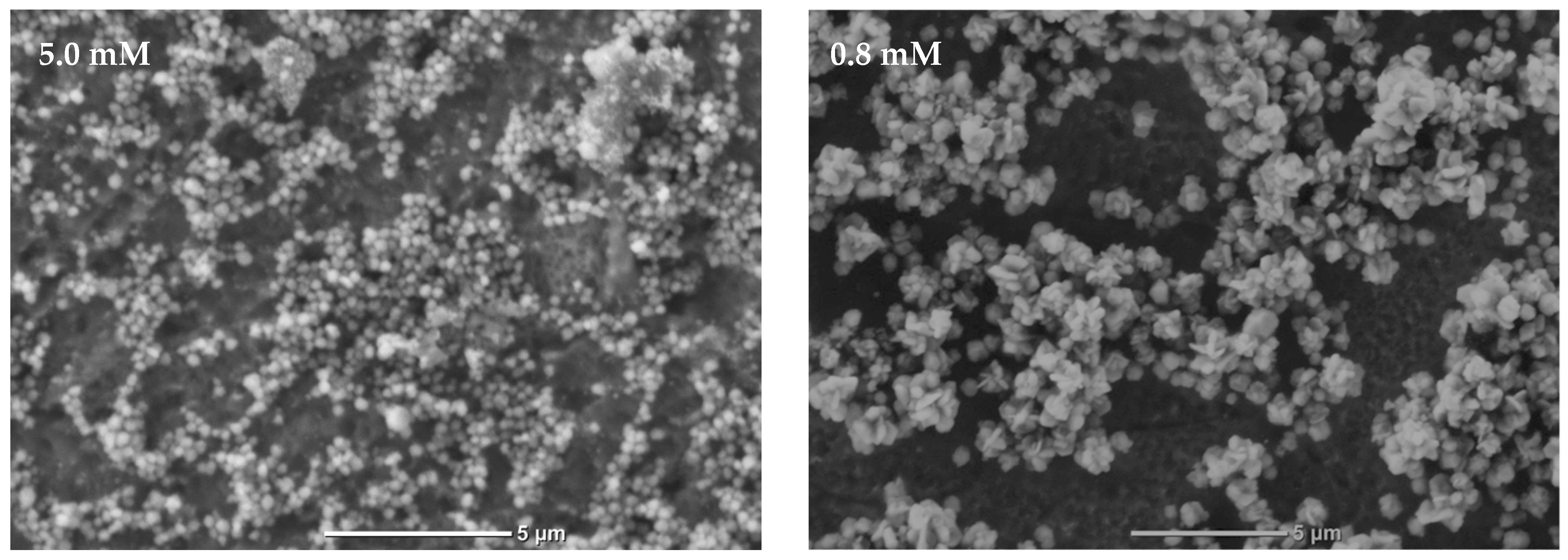 Materproc 09 00027 g002a