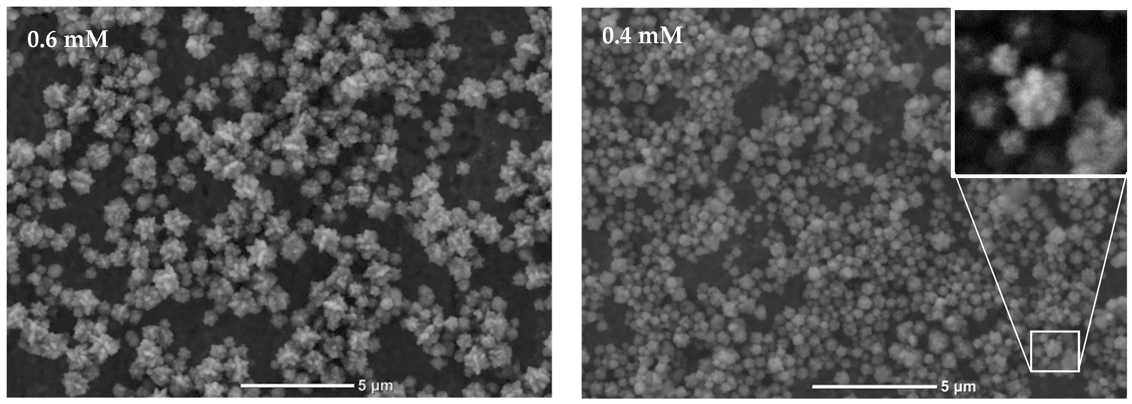 Materproc 09 00027 g002b