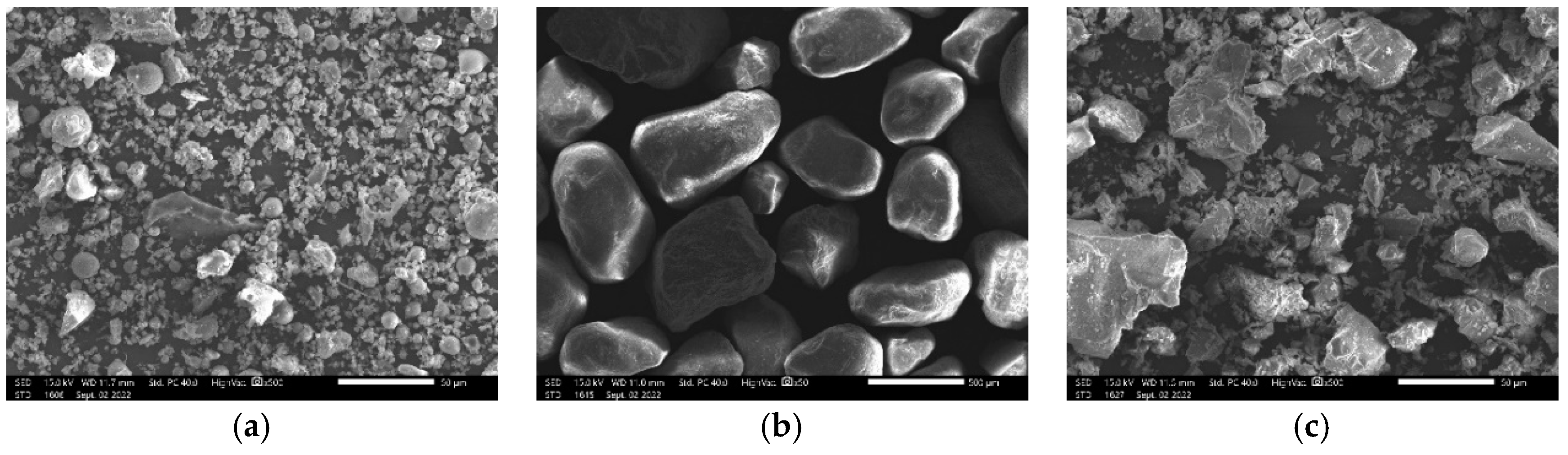 Materproc 13 00003 g001