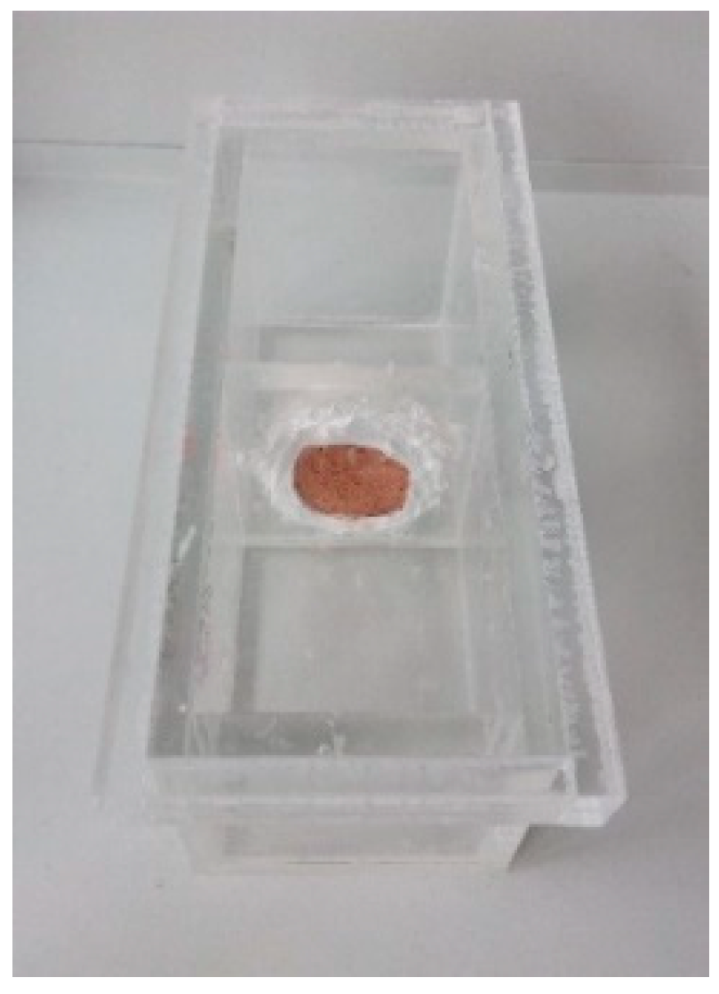 Materproc 13 00006 g004