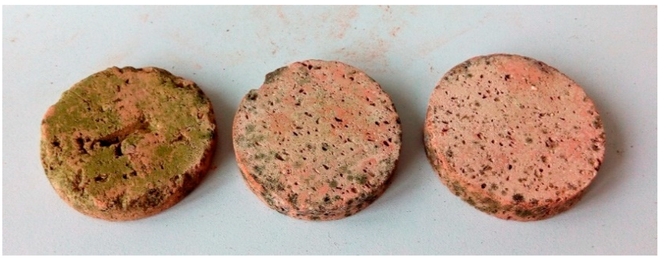 Materproc 13 00006 g005