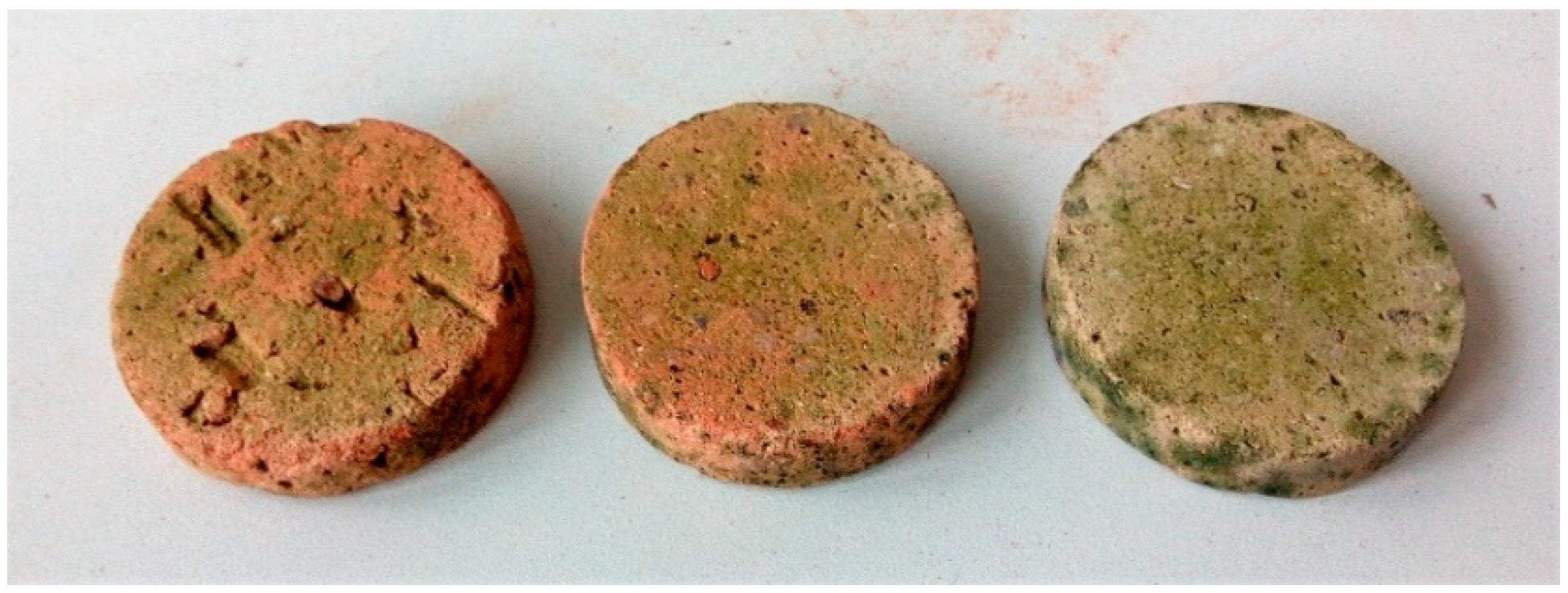 Materproc 13 00006 g007