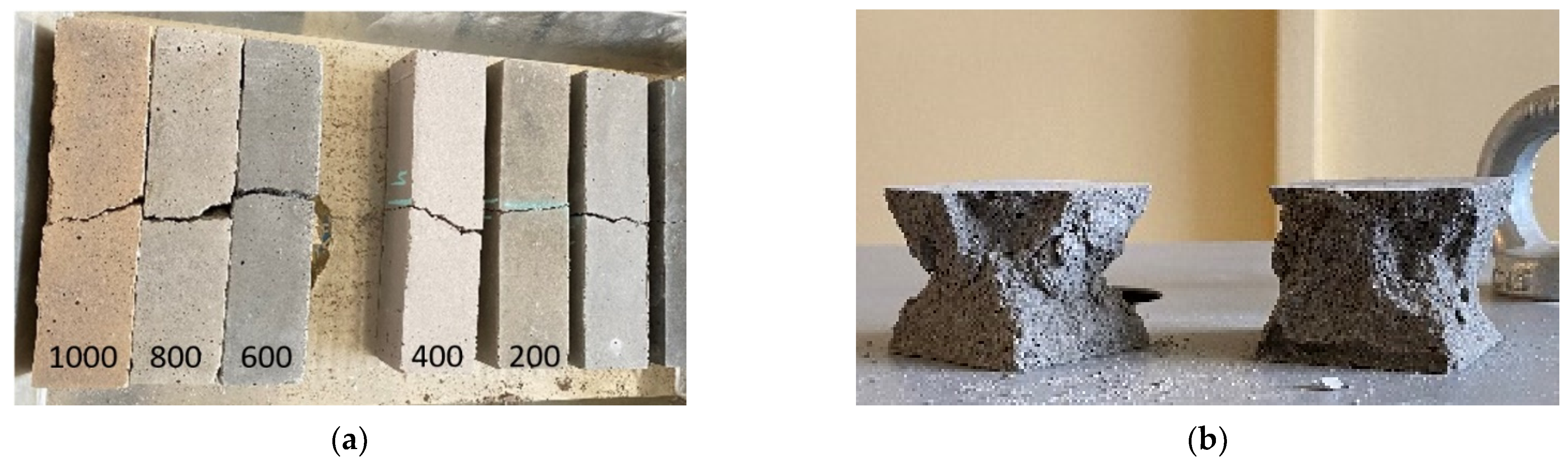 Materproc 13 00007 g002