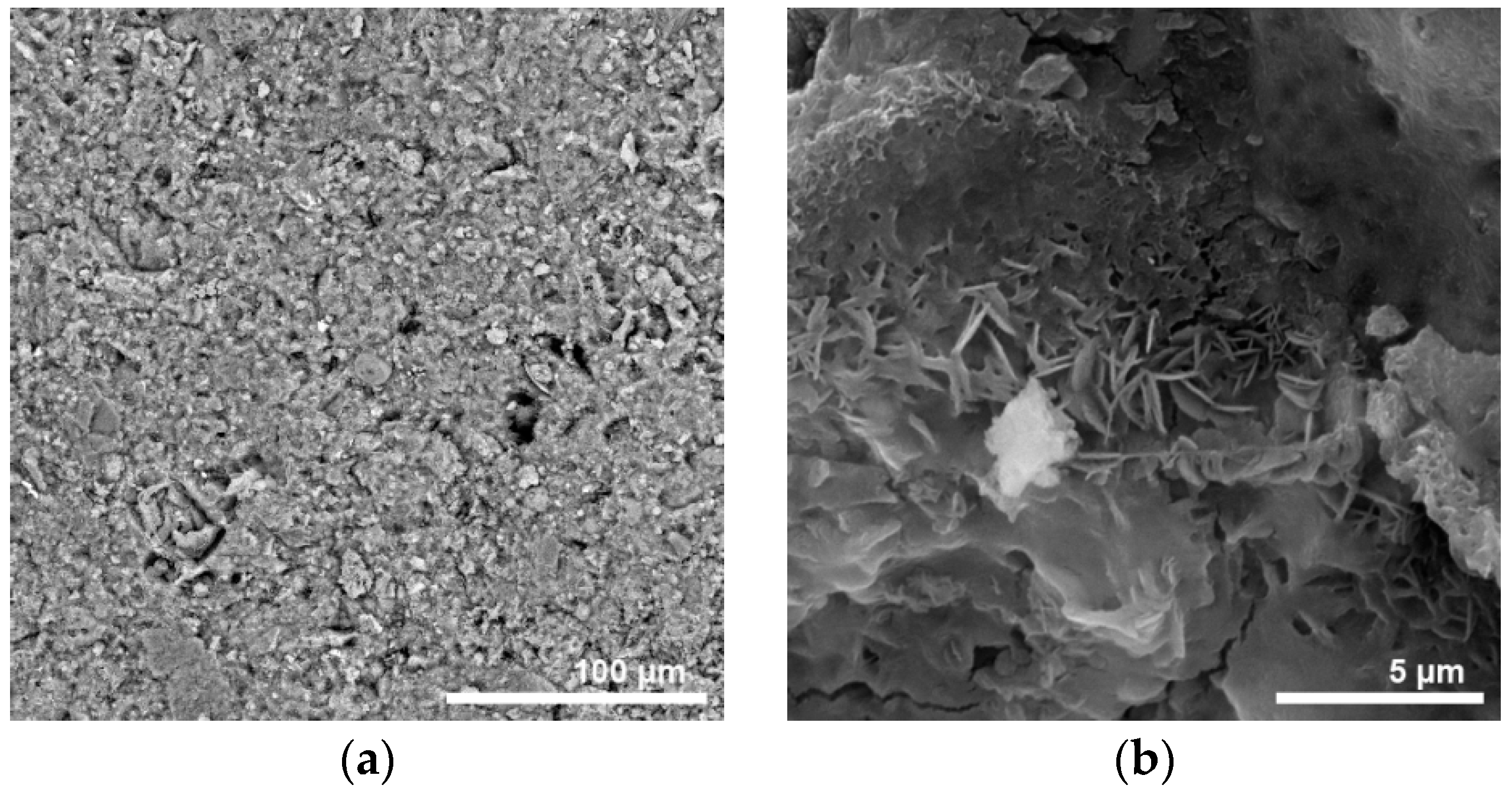 Materproc 13 00008 g007