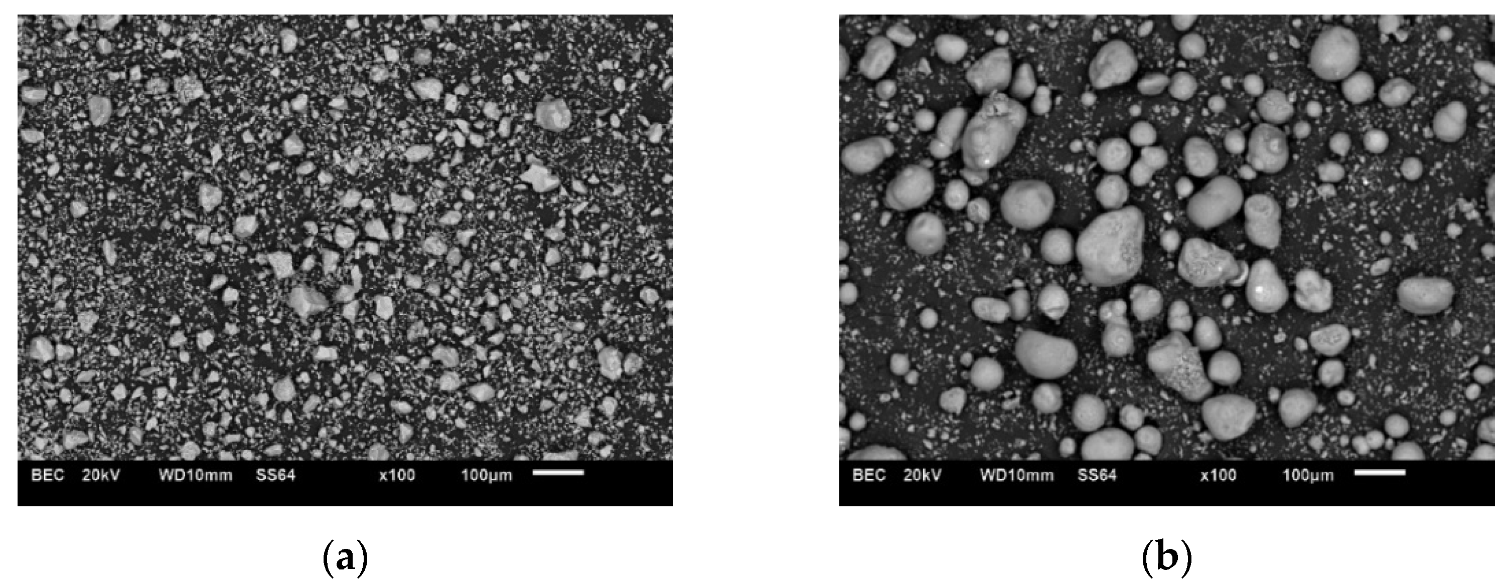 Materproc 13 00010 g001