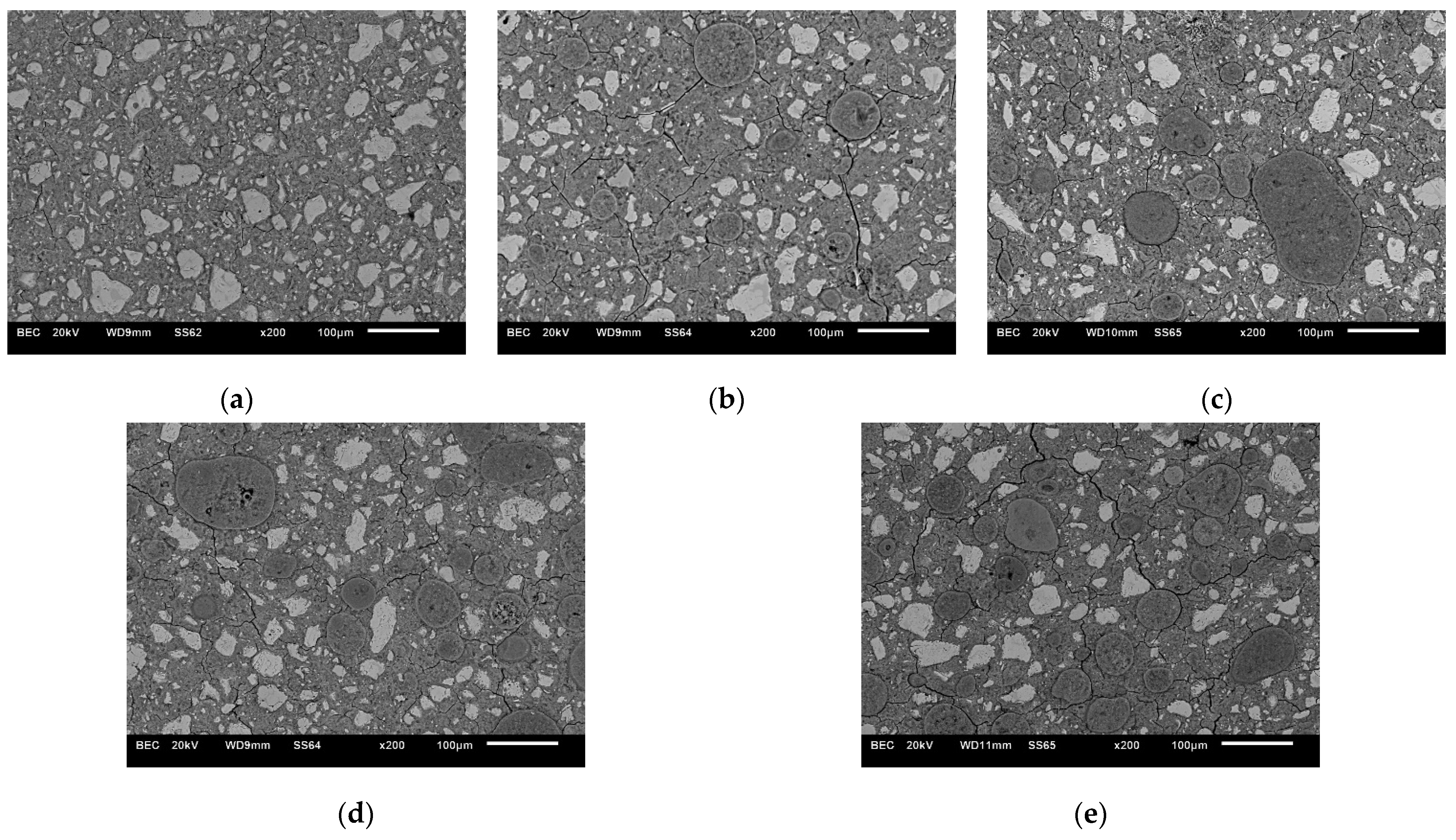 Materproc 13 00010 g006