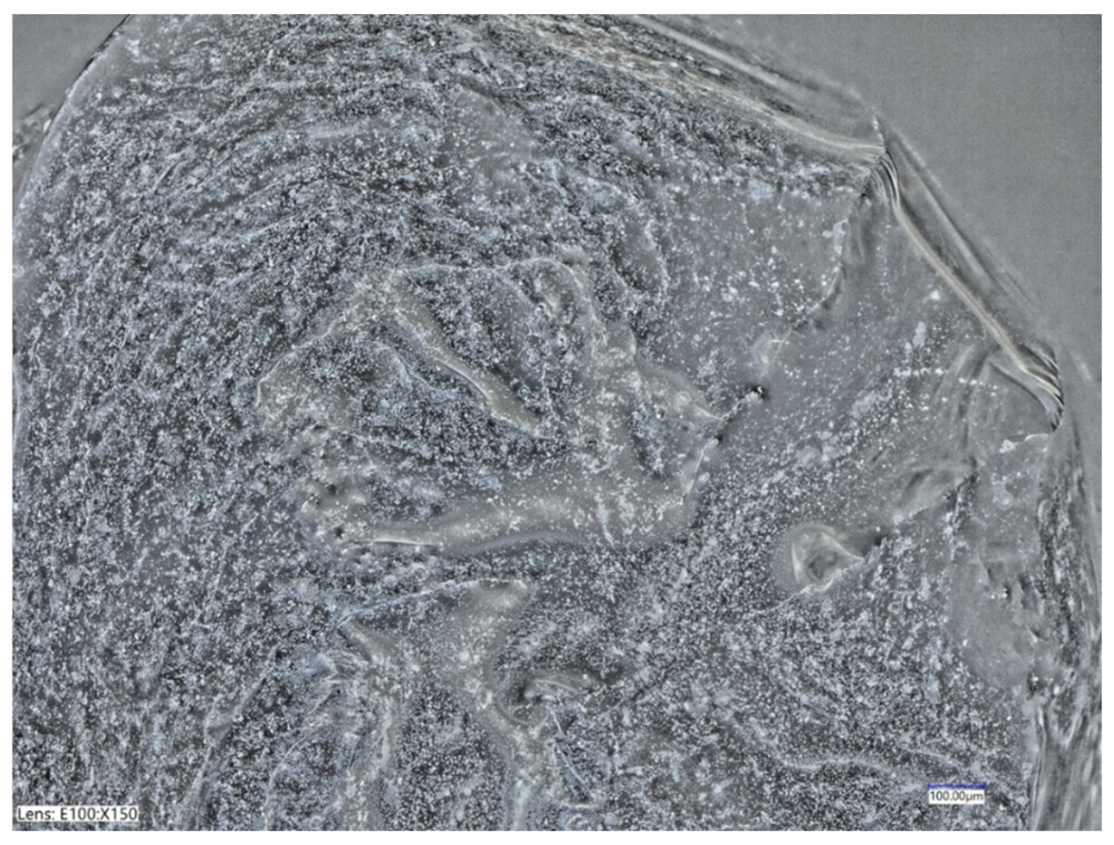 Materproc 13 00023 g002