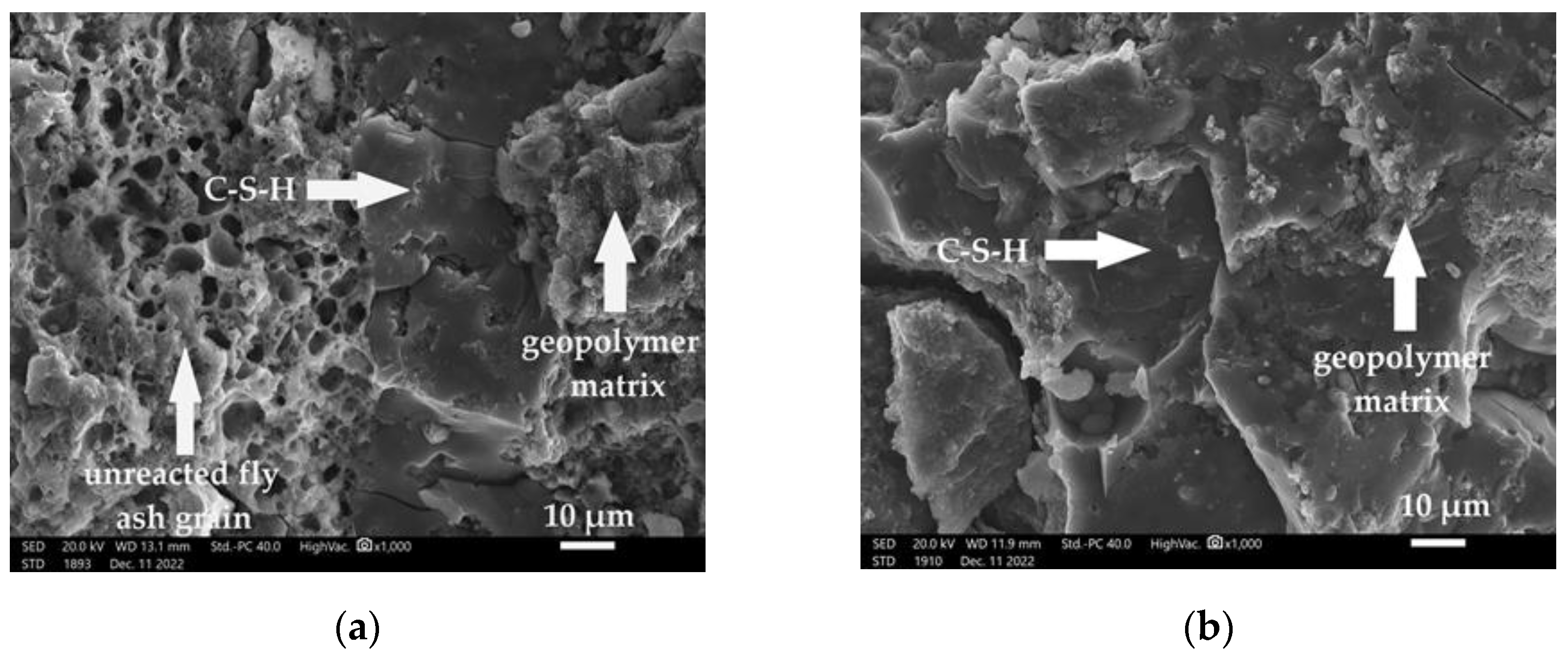 Materproc 13 00028 g003