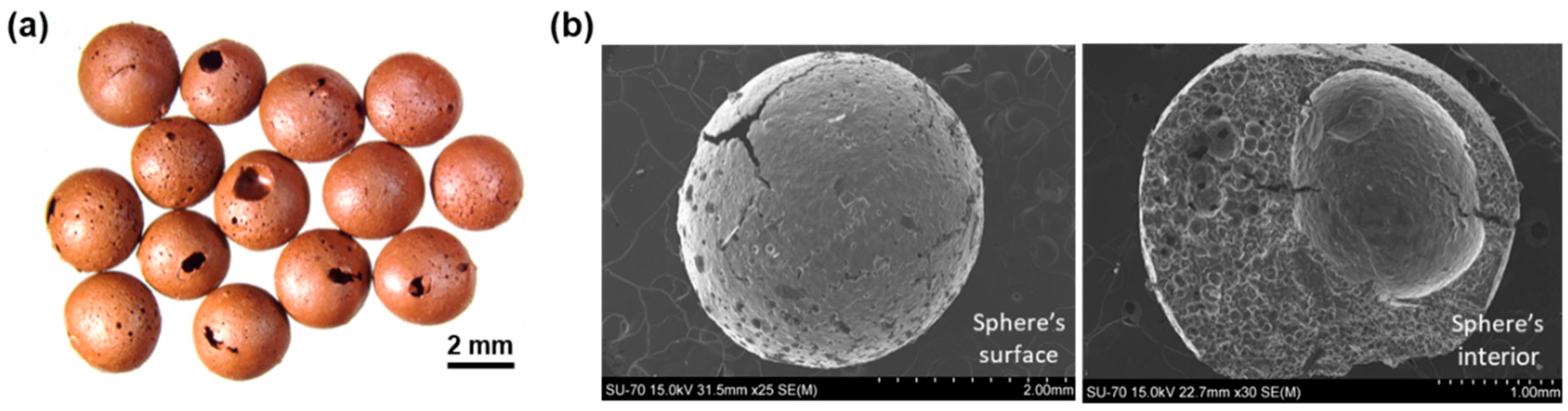 Materproc 13 00030 g002