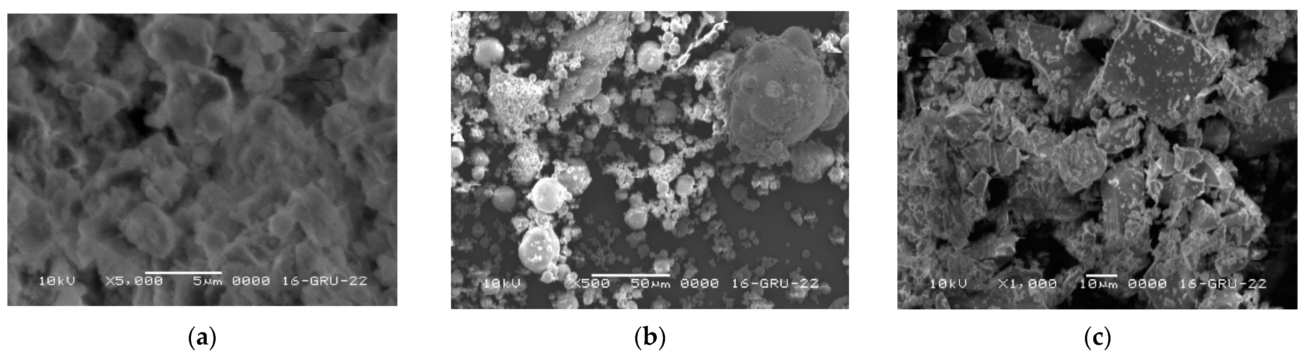 Materproc 13 00032 g002