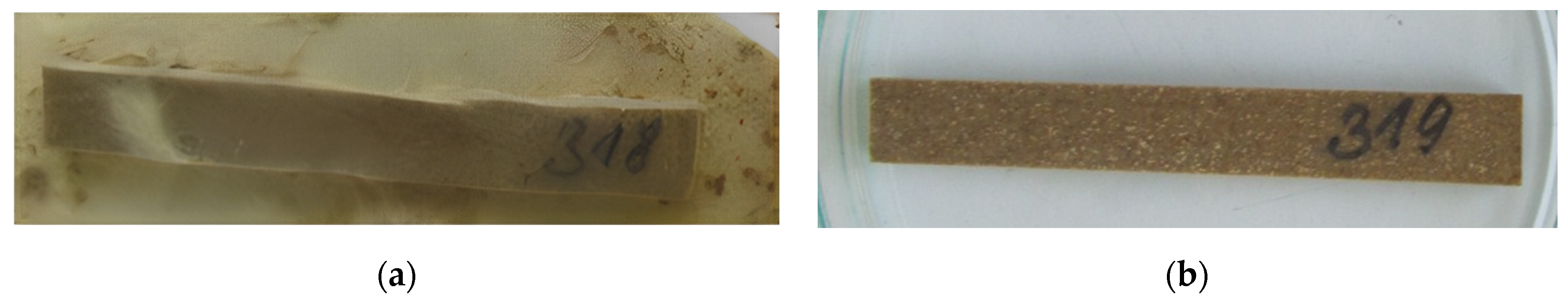 Materproc 13 00033 g001