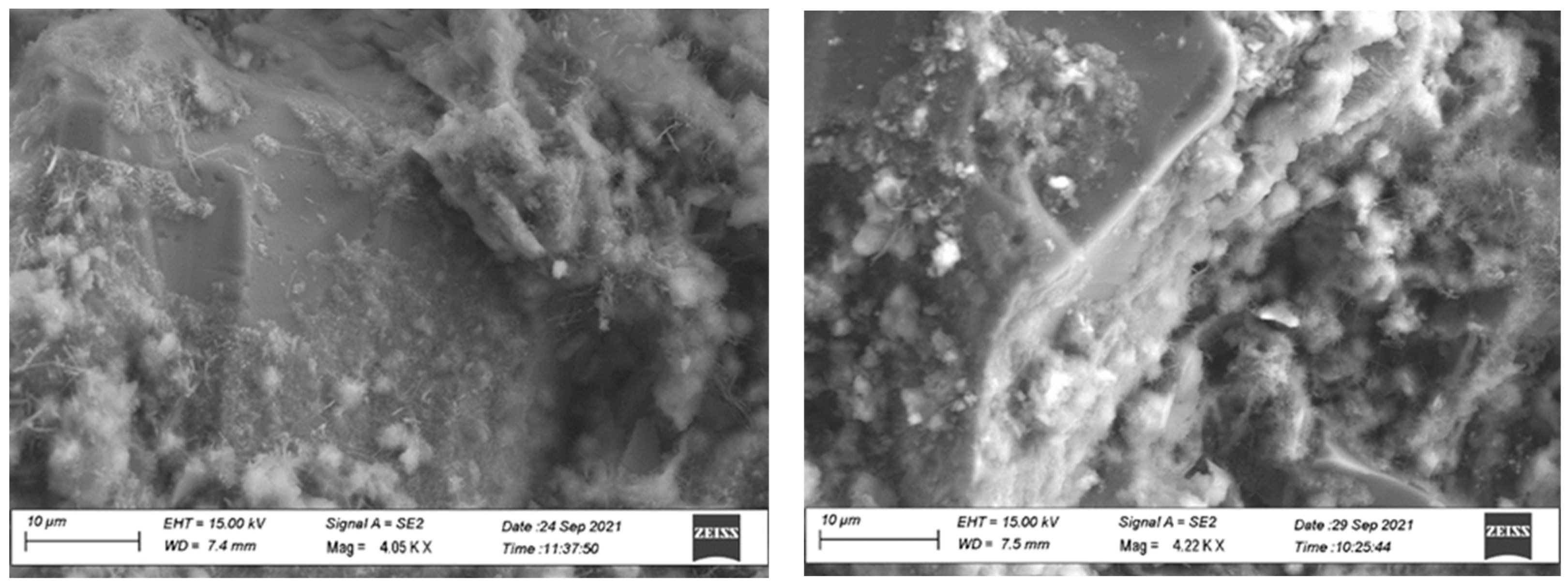 Materproc 13 00040 g002