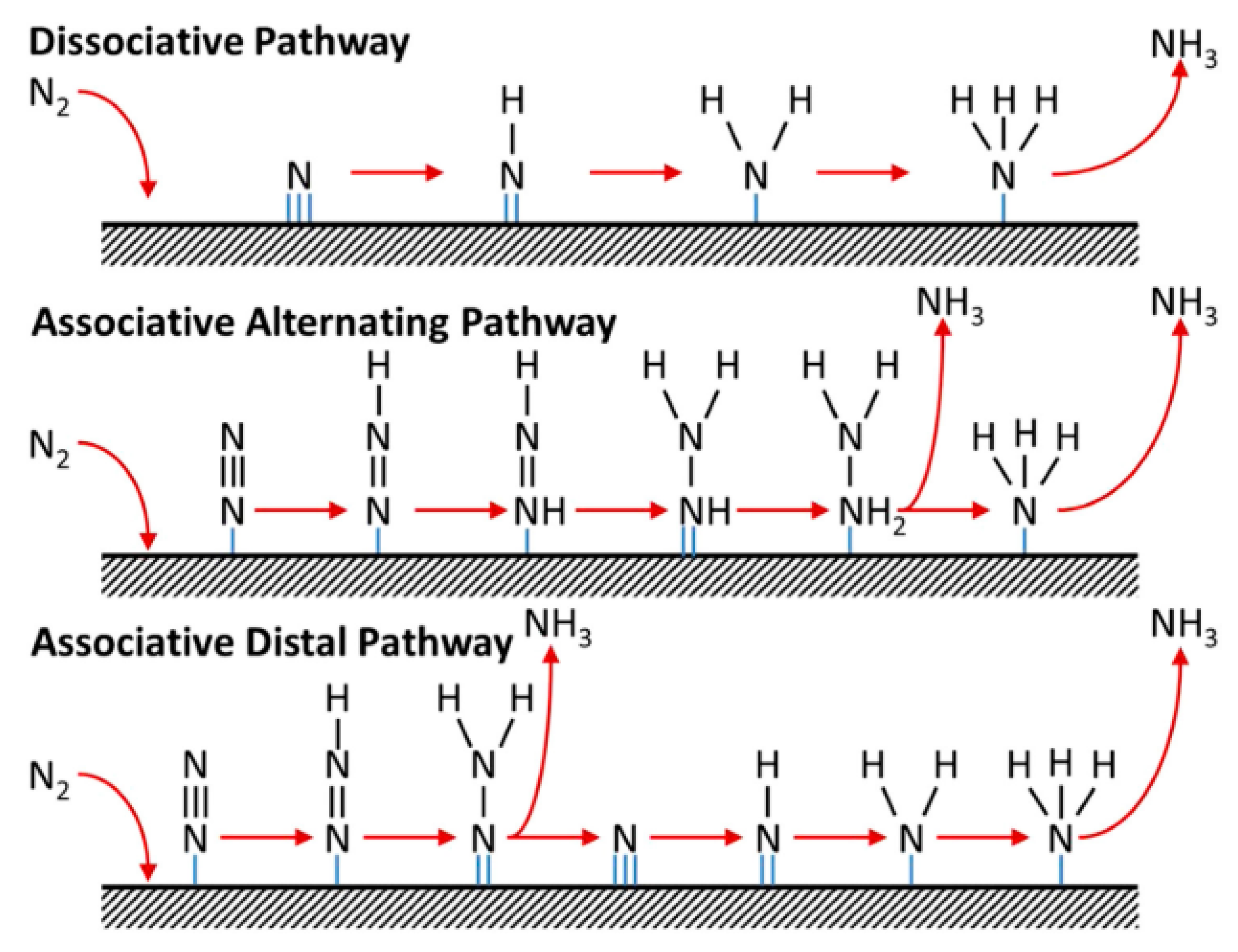 Materproc 14 00003 g003