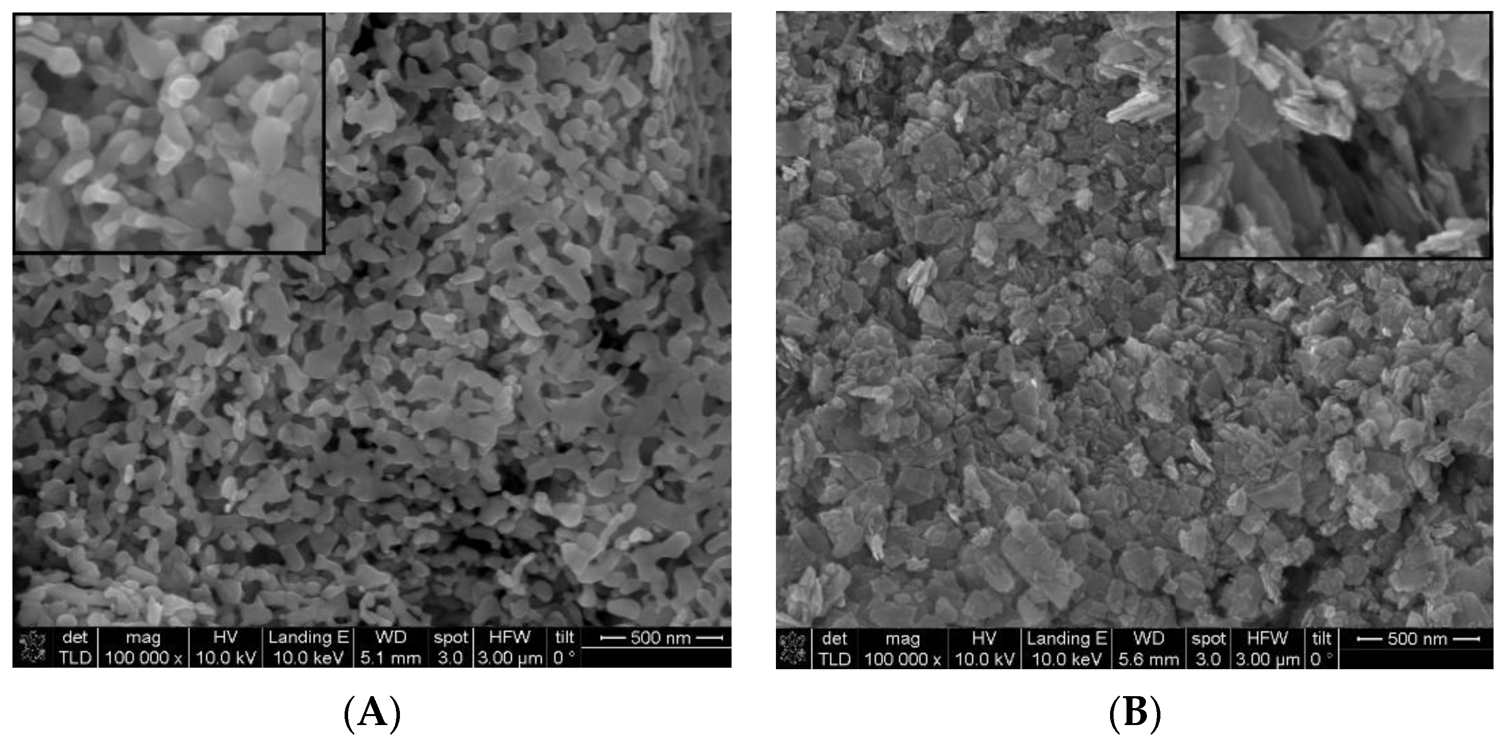 Materproc 14 00009 g002